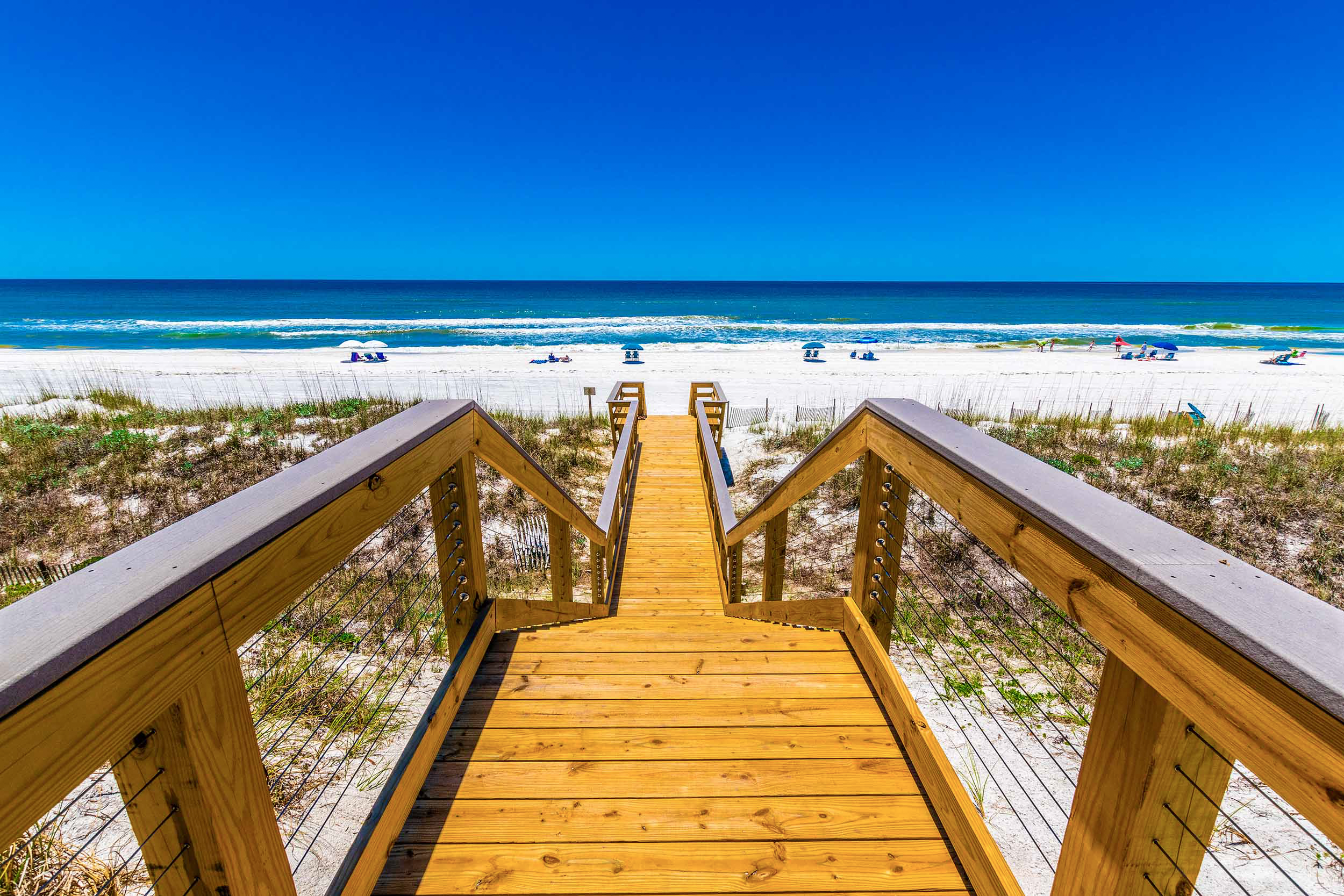 elevated boardwalk