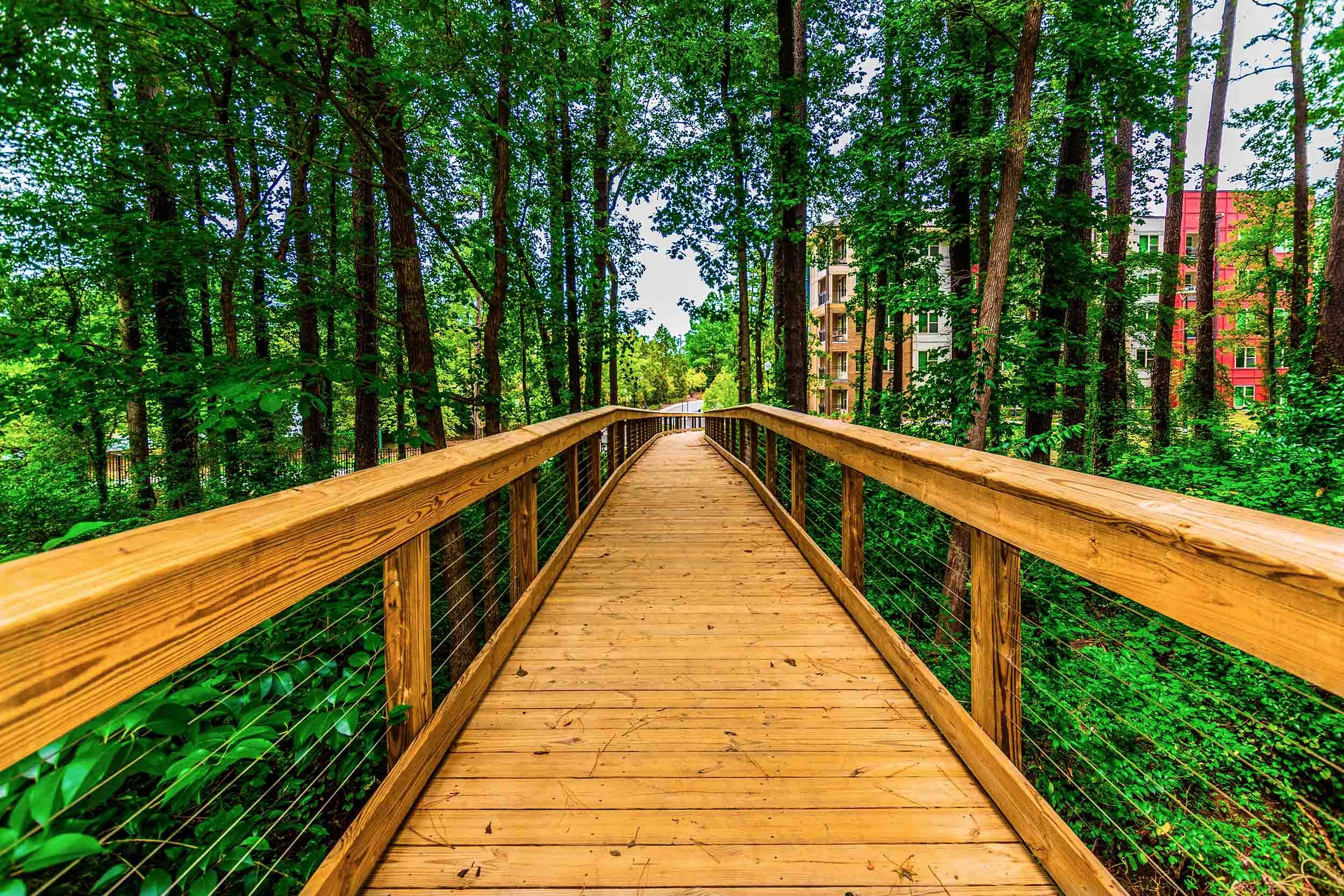 timber boardwalk solutions