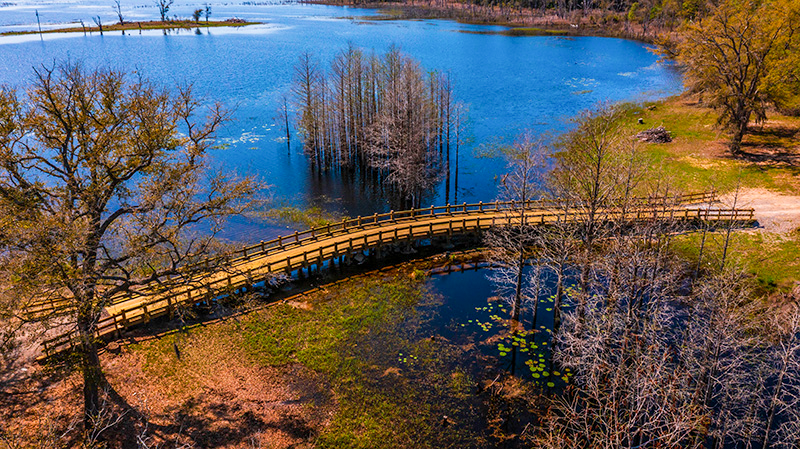 Backwoods Bridges | Custom Timber Bridge Construction & Eco-Friendly ...