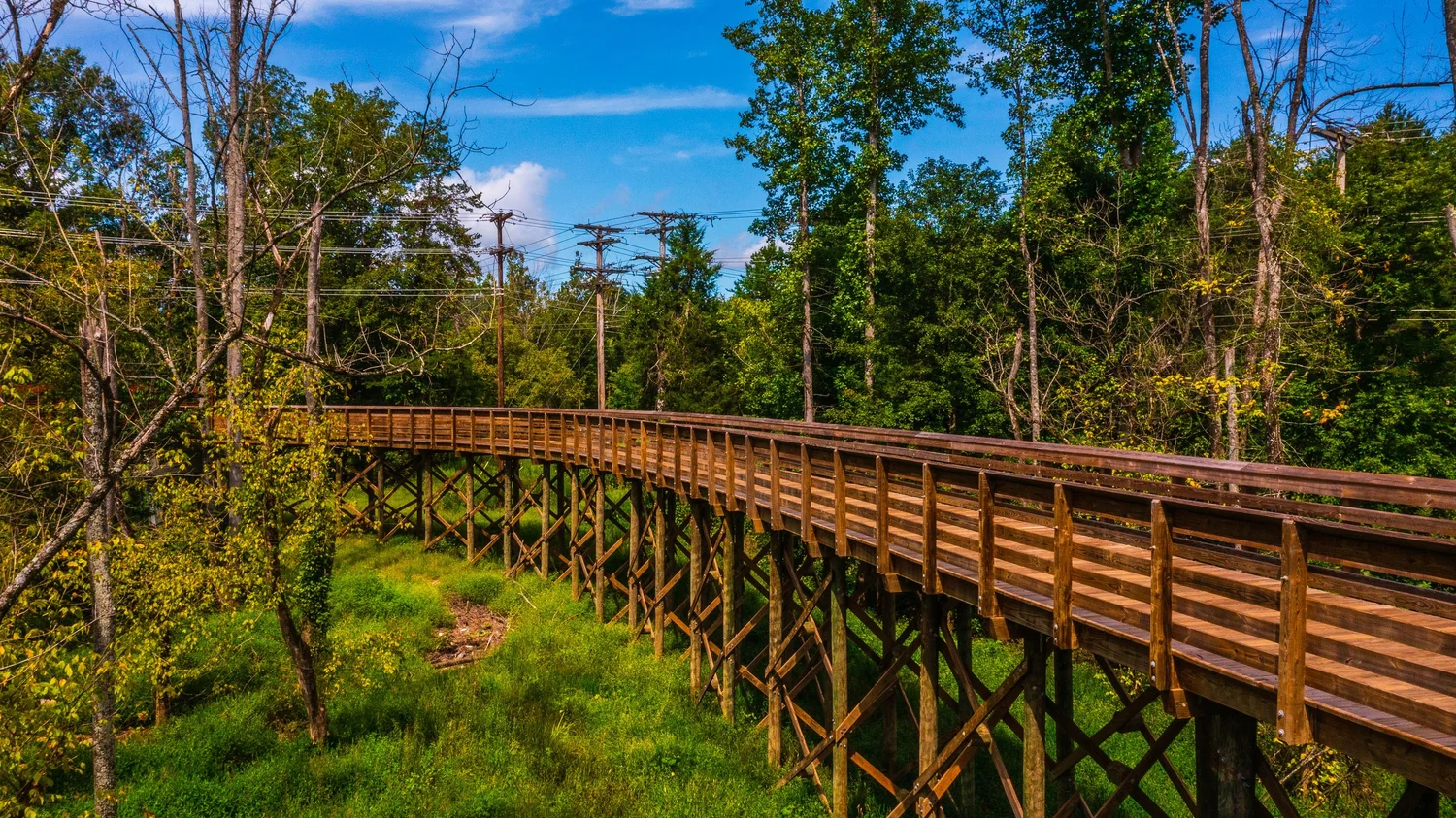 Custom Timber Pedestrian Bridges | Multi-Use Trails & Footbridges ...