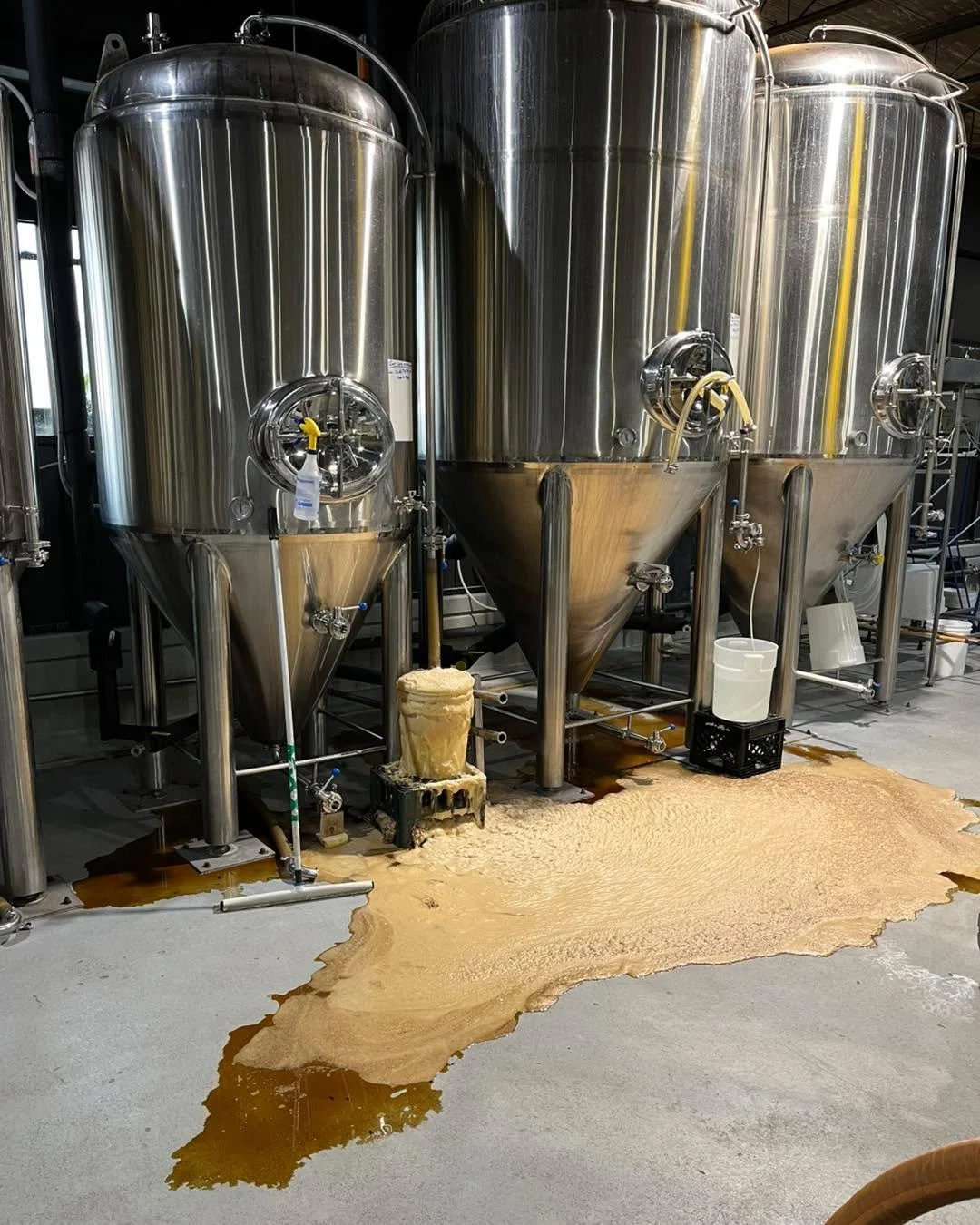 It’s hard to believe that winter beer releases are right around the corner!  Cat Cafe got off to a vigorous start for its first day of fermentation 🫧 🍻