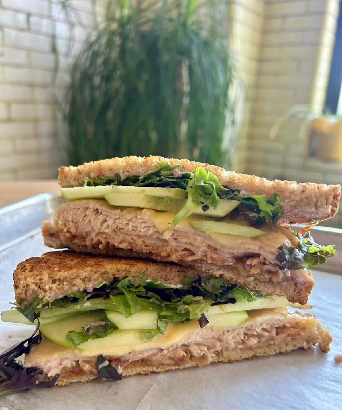 Just a lil Turkey Sandwich special for you today.  Wheatberry Bread, Smoked Turkey, Smoked Gouda, Cranberry Mayo, Apple Slices, and Mixed Greens 🤤
