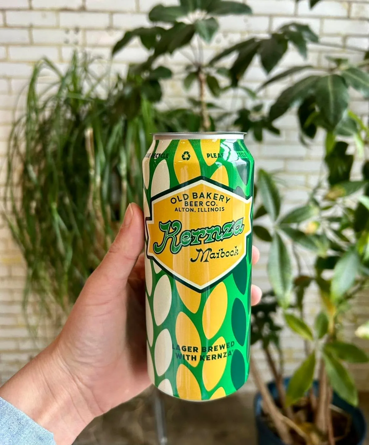 Kernza Maibock is a traditional heavy-bodied spring lager.  It is full of grainy and light citrus notes, and probably ranks as my favorite beer of the year!  Not to mention, it is brewed with Kernza, a perennial grain that adds a hint of spice and a 