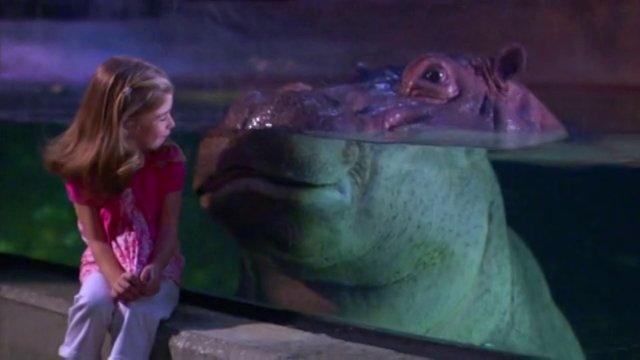 Adventure Aquarium Filled with Fascination