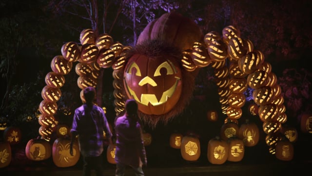 Dollywood Theme Park - All New Great Pumpkin LumiNights