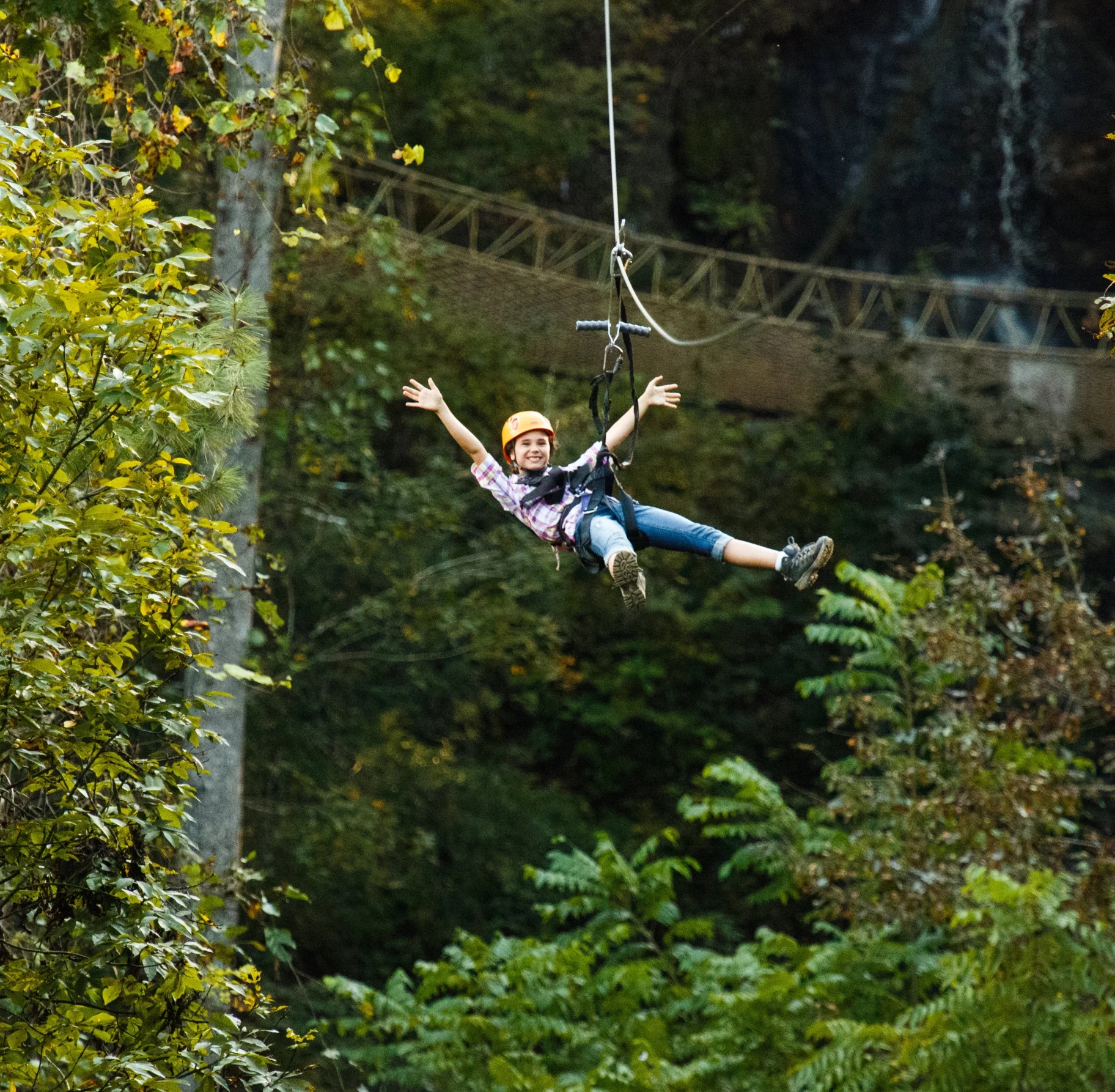 Zip-lining-photo.jpg