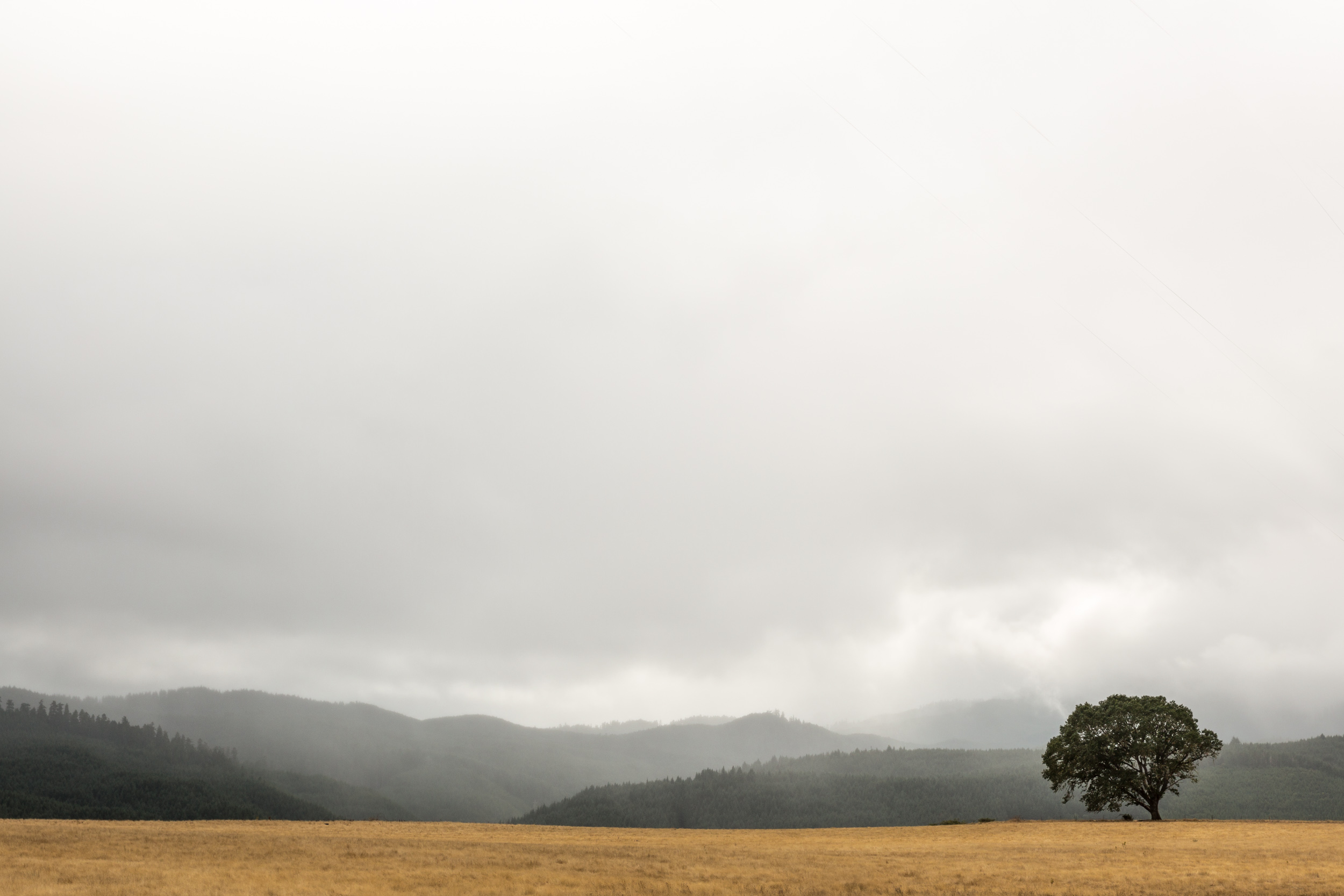 Somewhere in Oregon 
