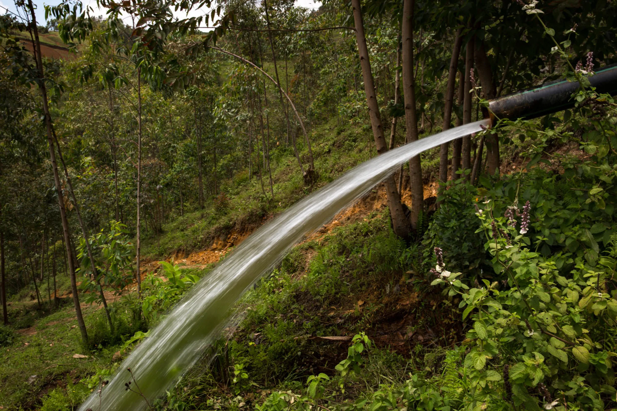 congo-6.jpg