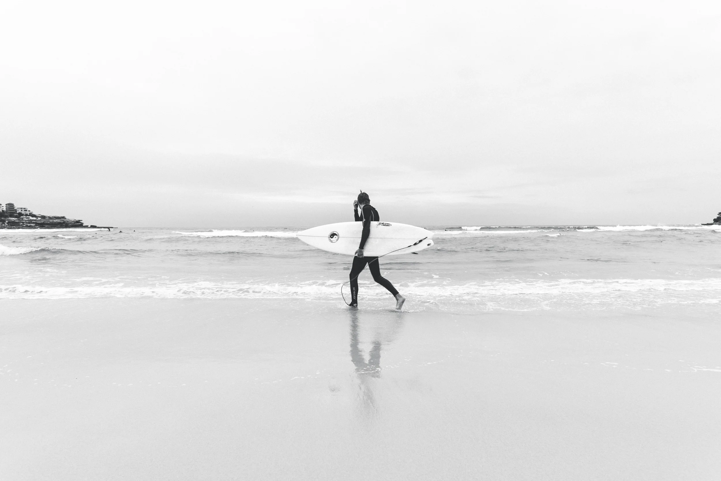 April shore 6.jpg
