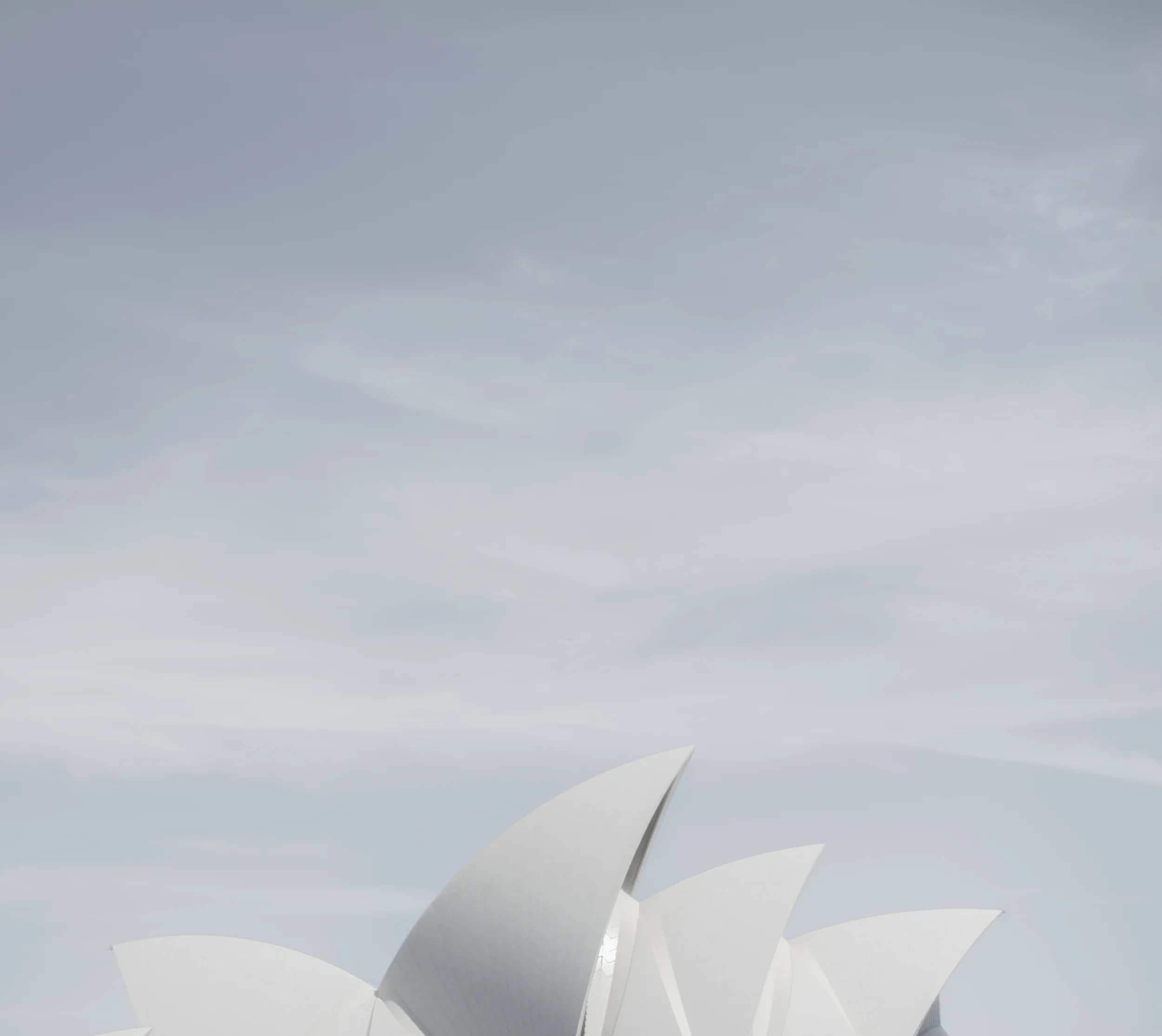 sails and sails 2.jpg