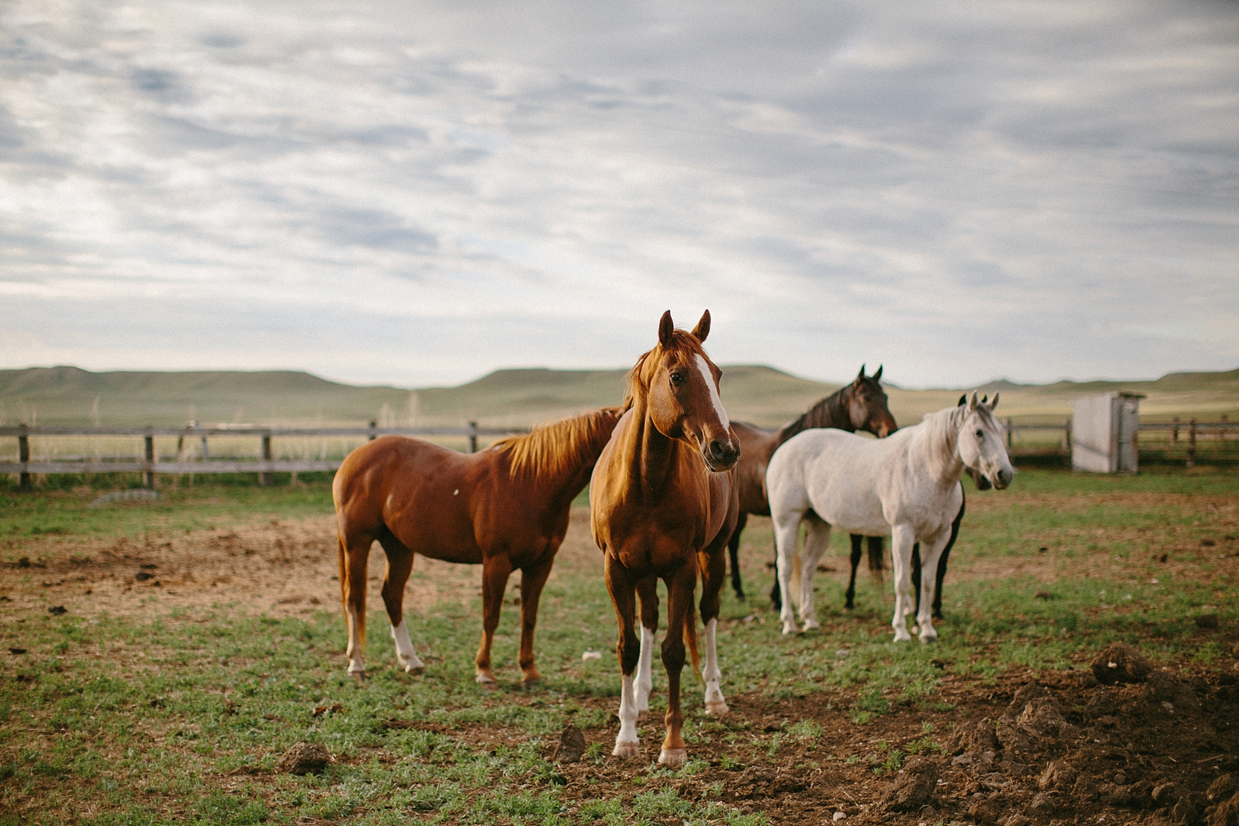 wyoming-destination-wedding-cattle-ranch-west_0002.jpg