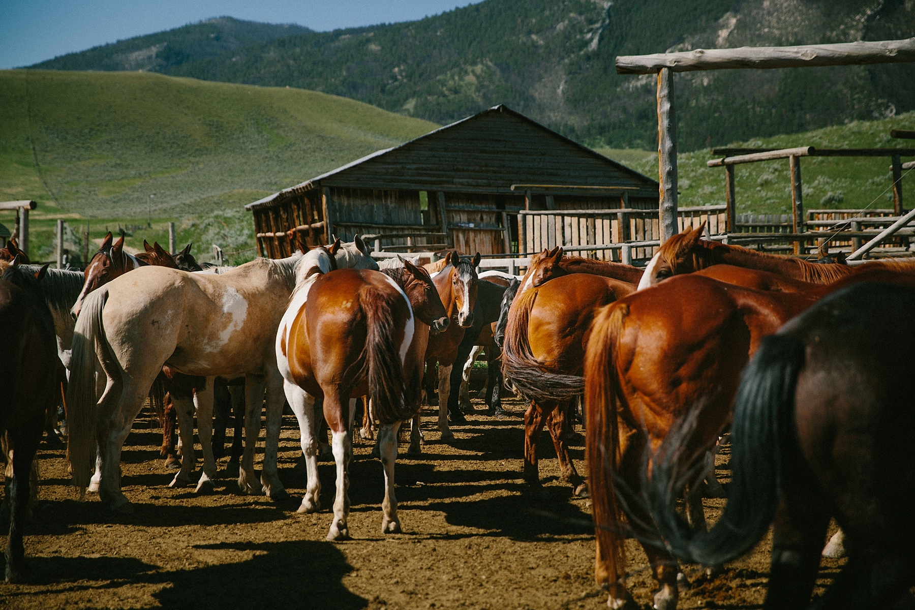 wyoming-destination-wedding-cattle-ranch-west_0089.jpg