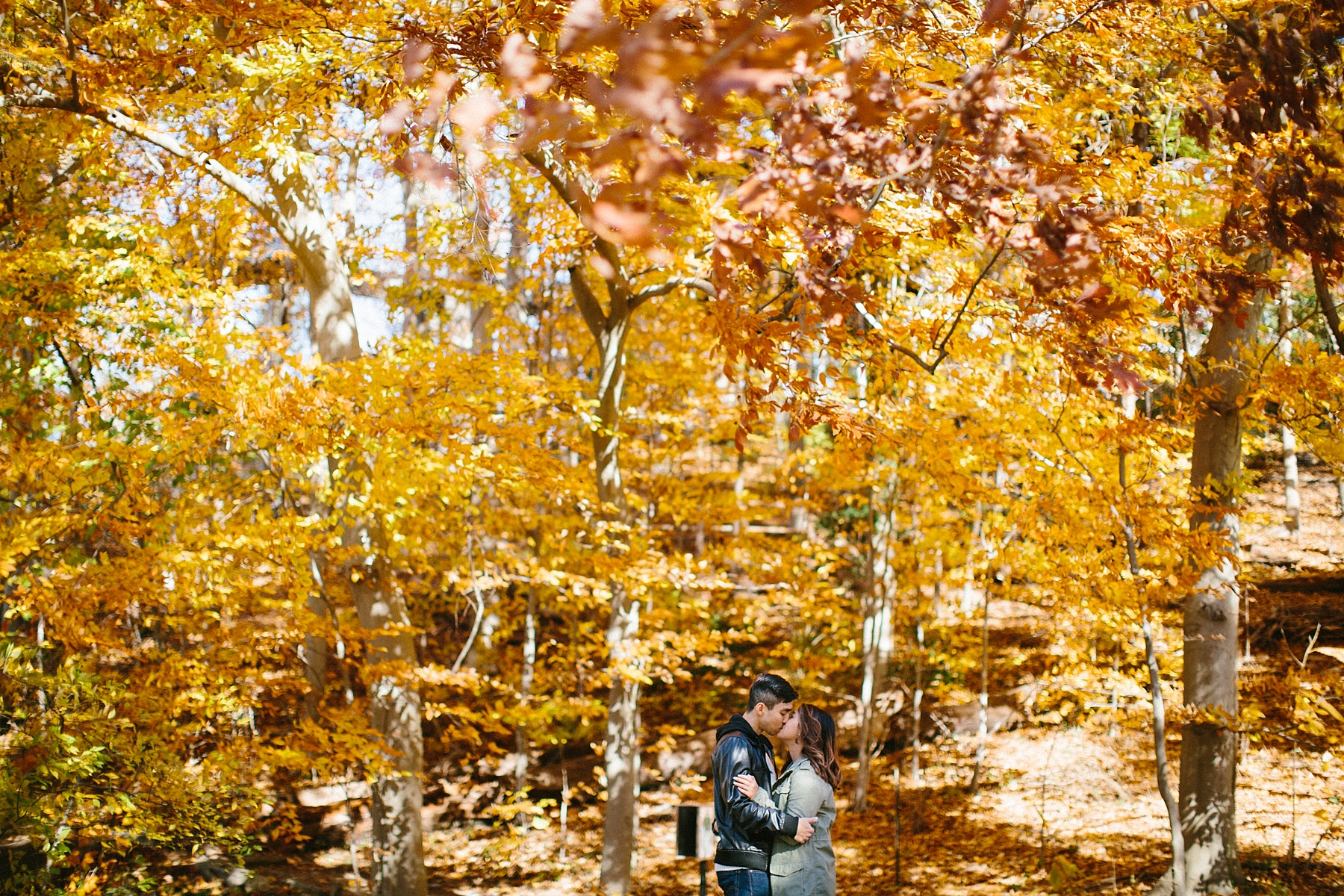 nj-arboretum-engagement-session-virgina_0009.jpg