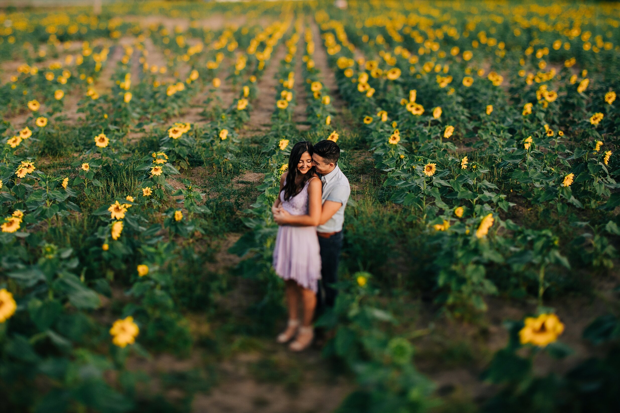 sunflower-field-engagement-session-nj_0009.jpg