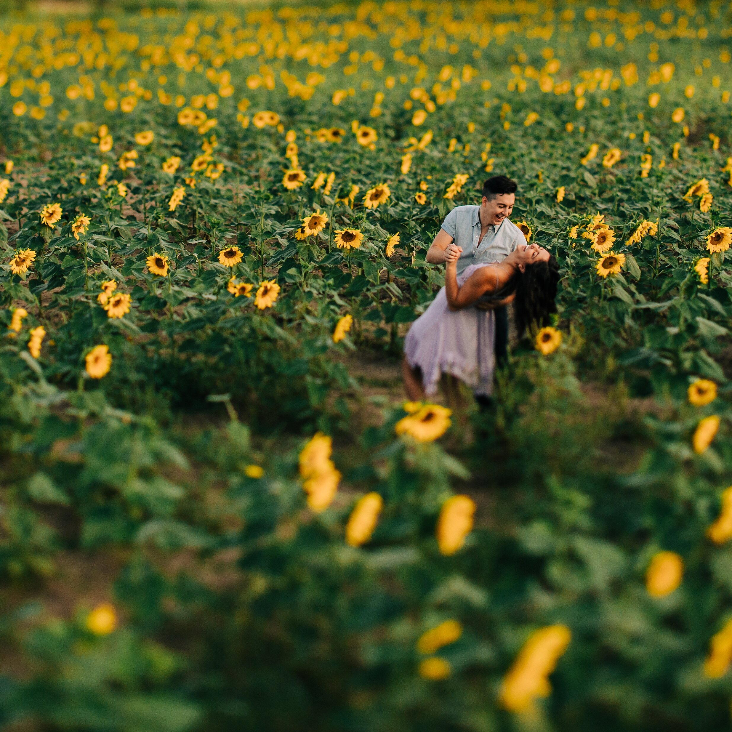 sunflower-field-engagement-session-nj_0008.jpg