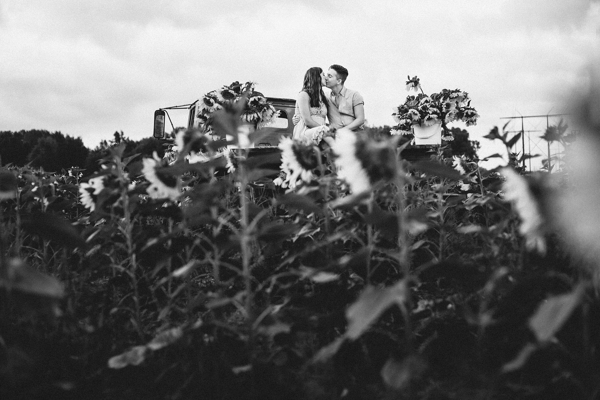 sunflower-field-engagement-session-nj_0021.jpg