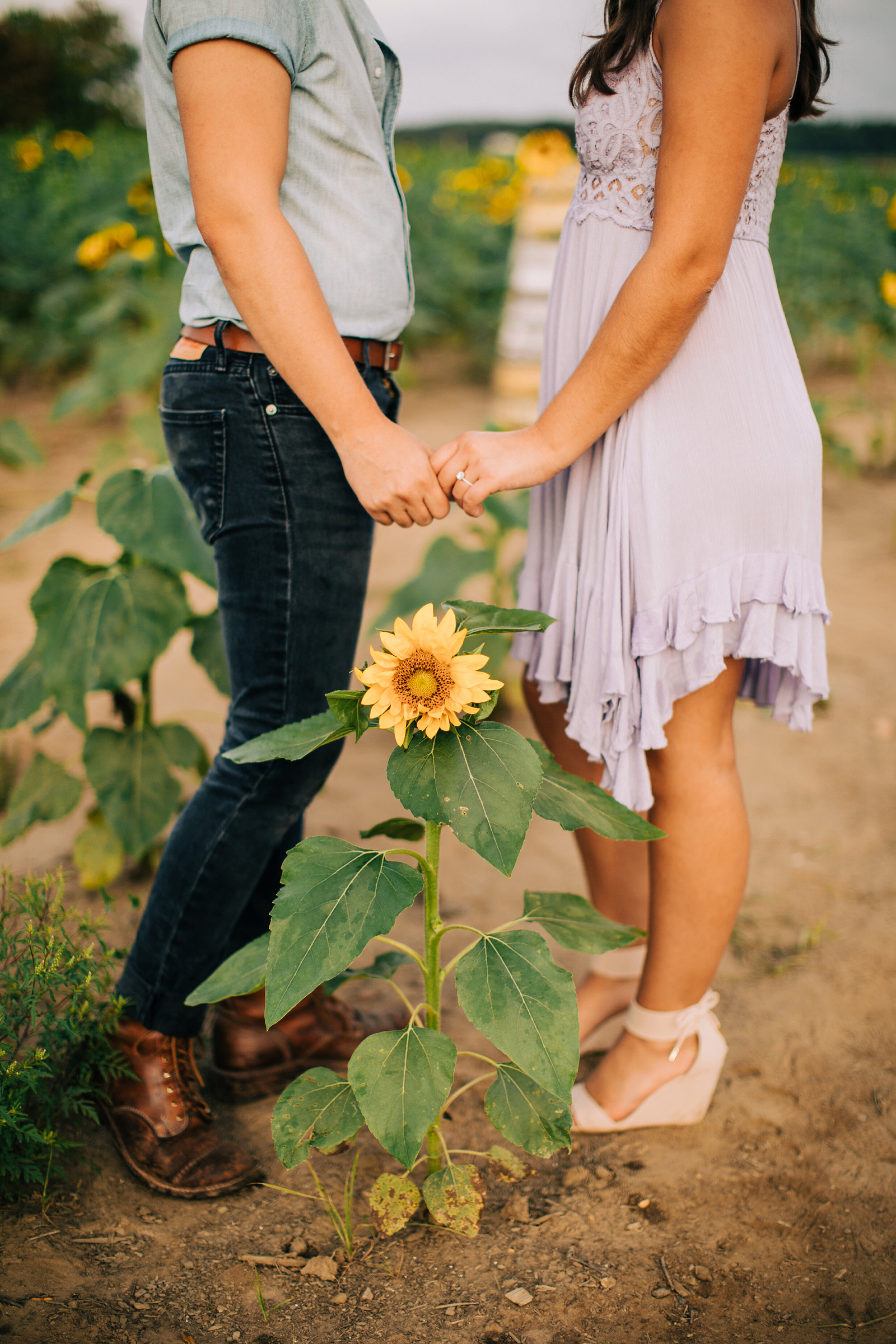 sunflower-field-engagement-session-nj_0011.jpg