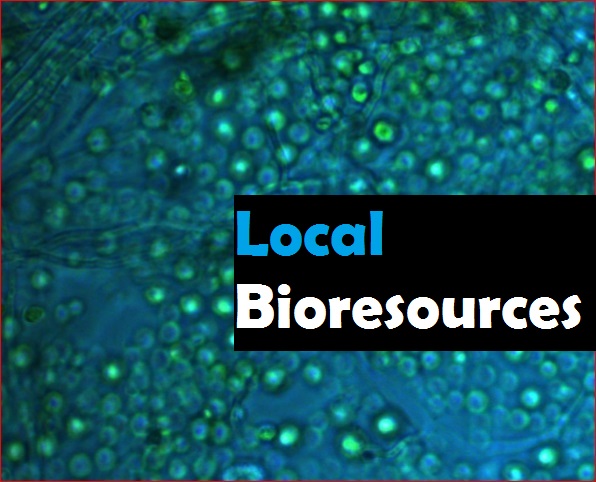 local bioresources.jpg