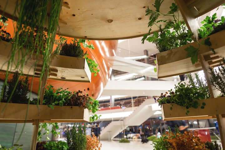 The garden’s “slices” are designed so that water and light reaches each level. 
