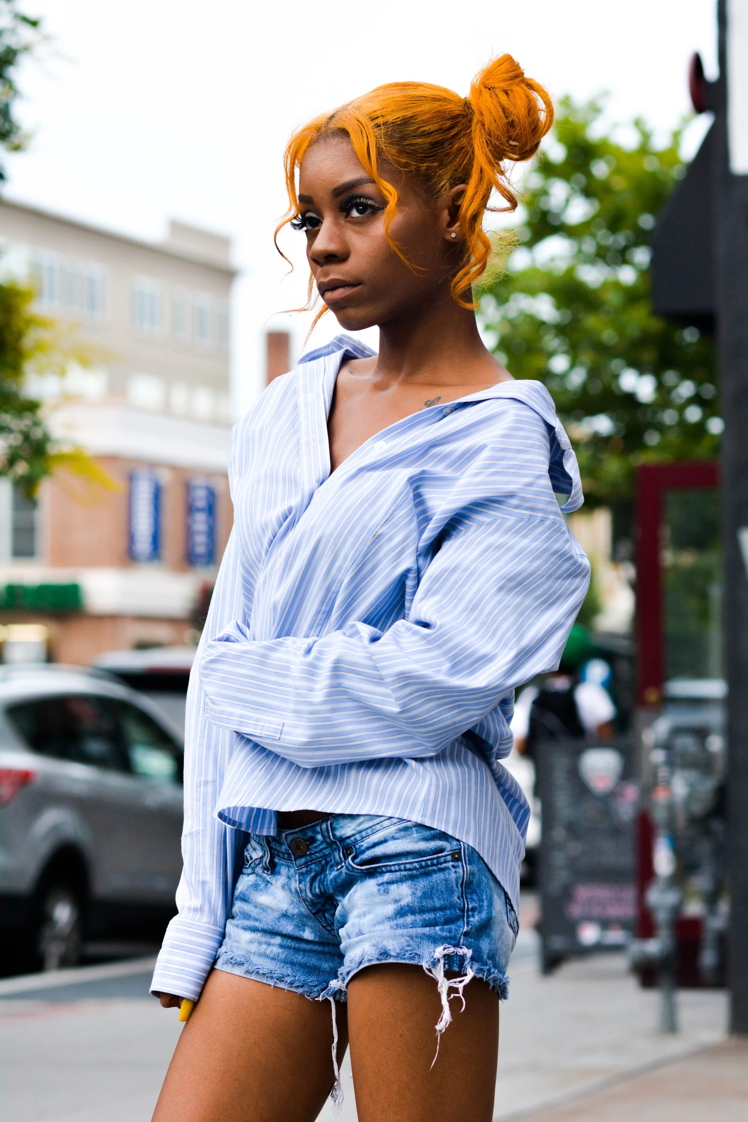 DSC_0246-2.jpg