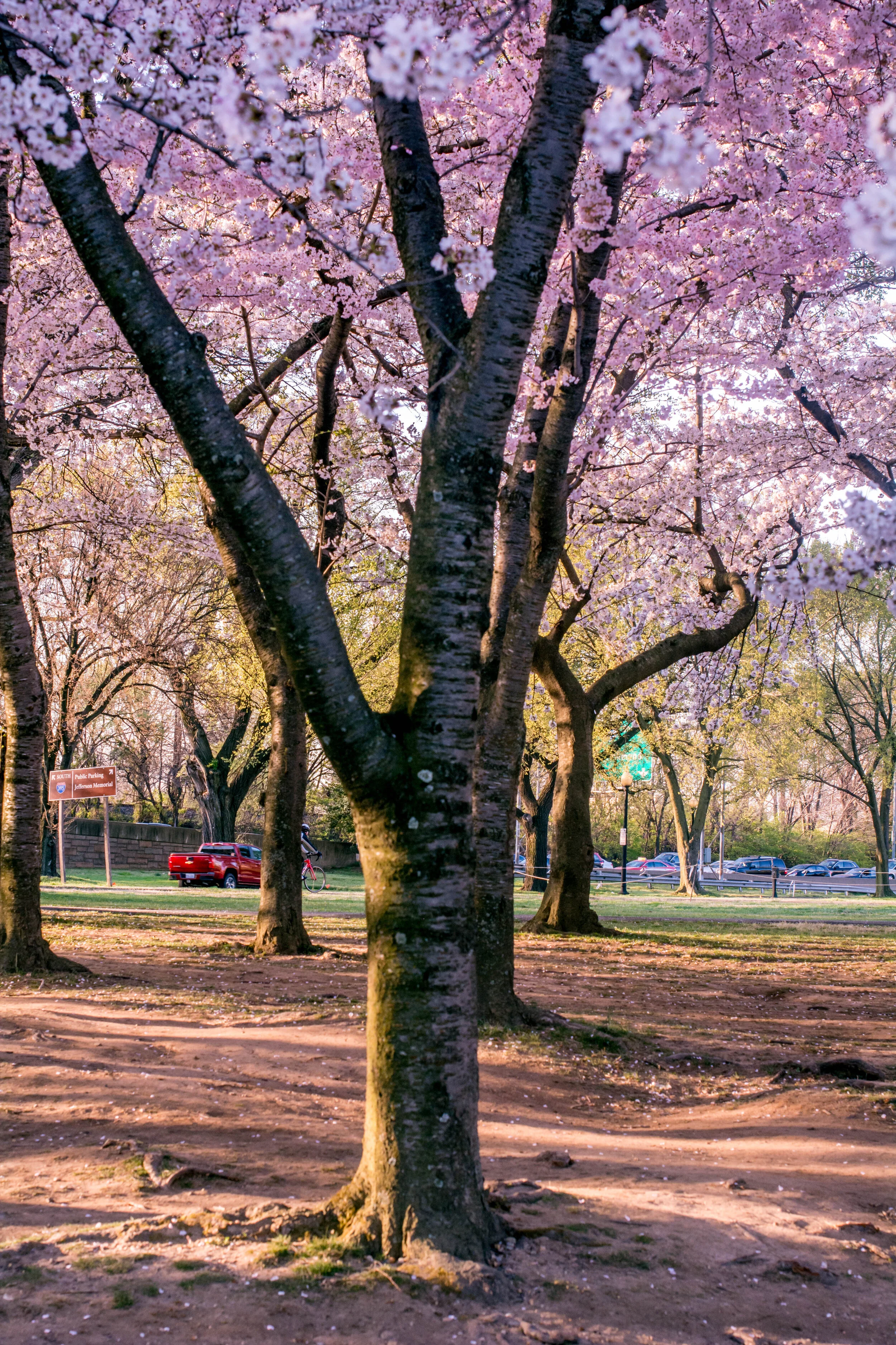 DSC_1427.jpg