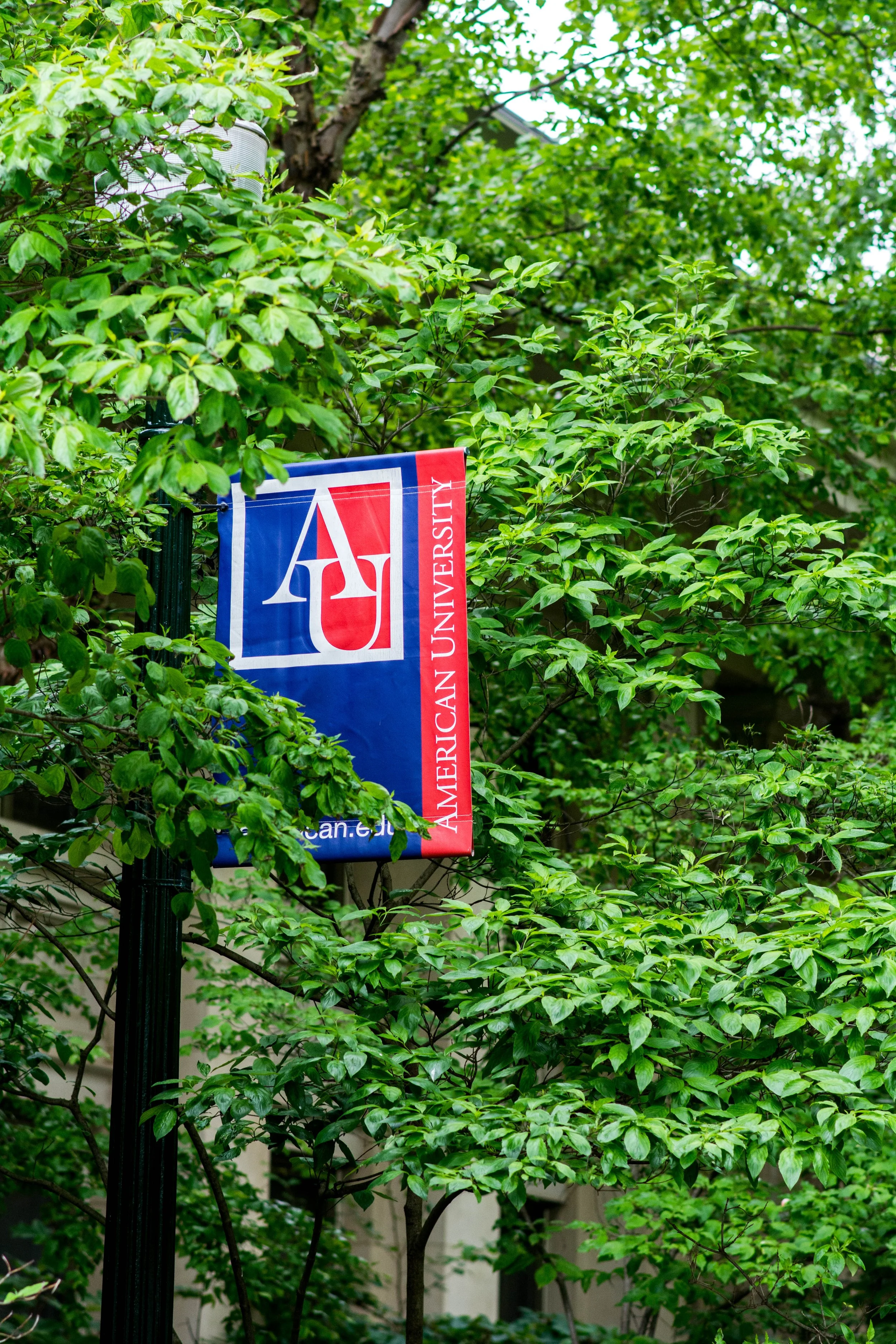 DSC_2027.JPG