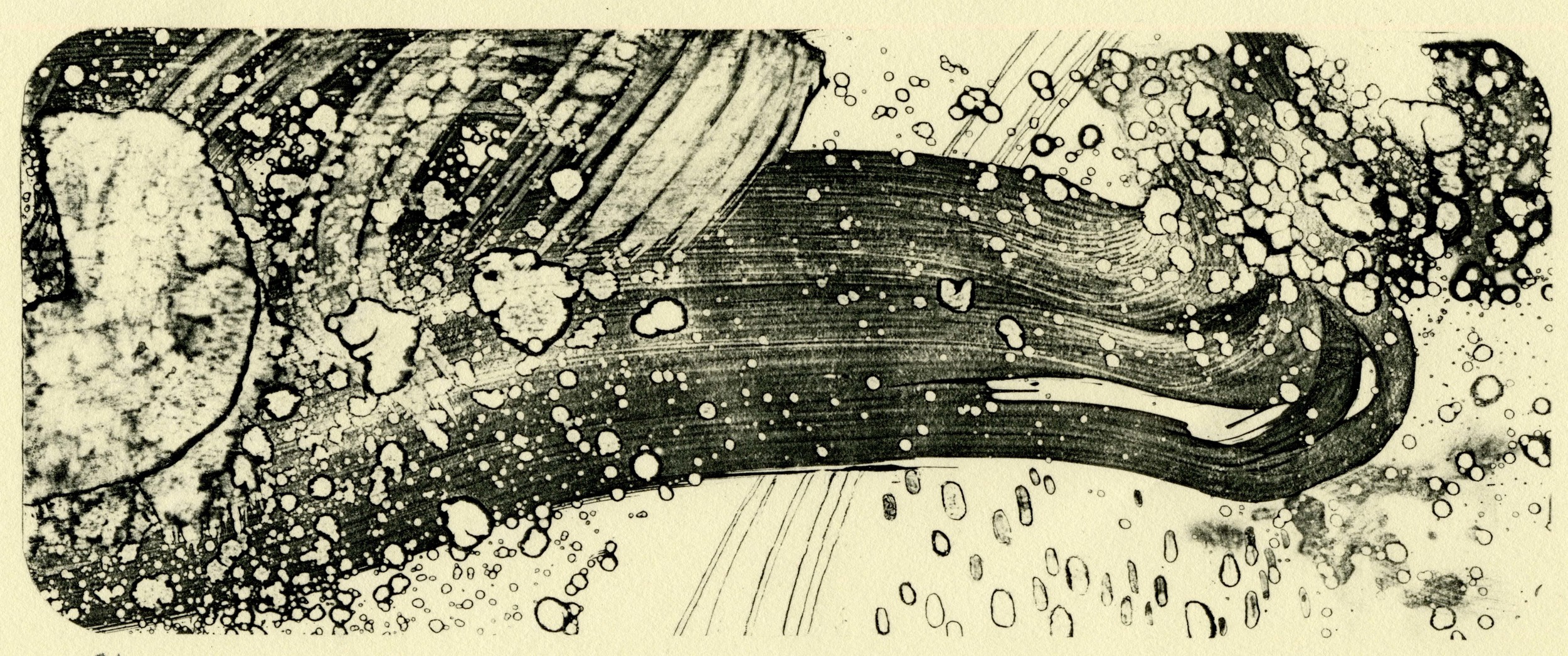 Contents of One (Microscopic print series ), edition able transfer, 6x11” edition of 12