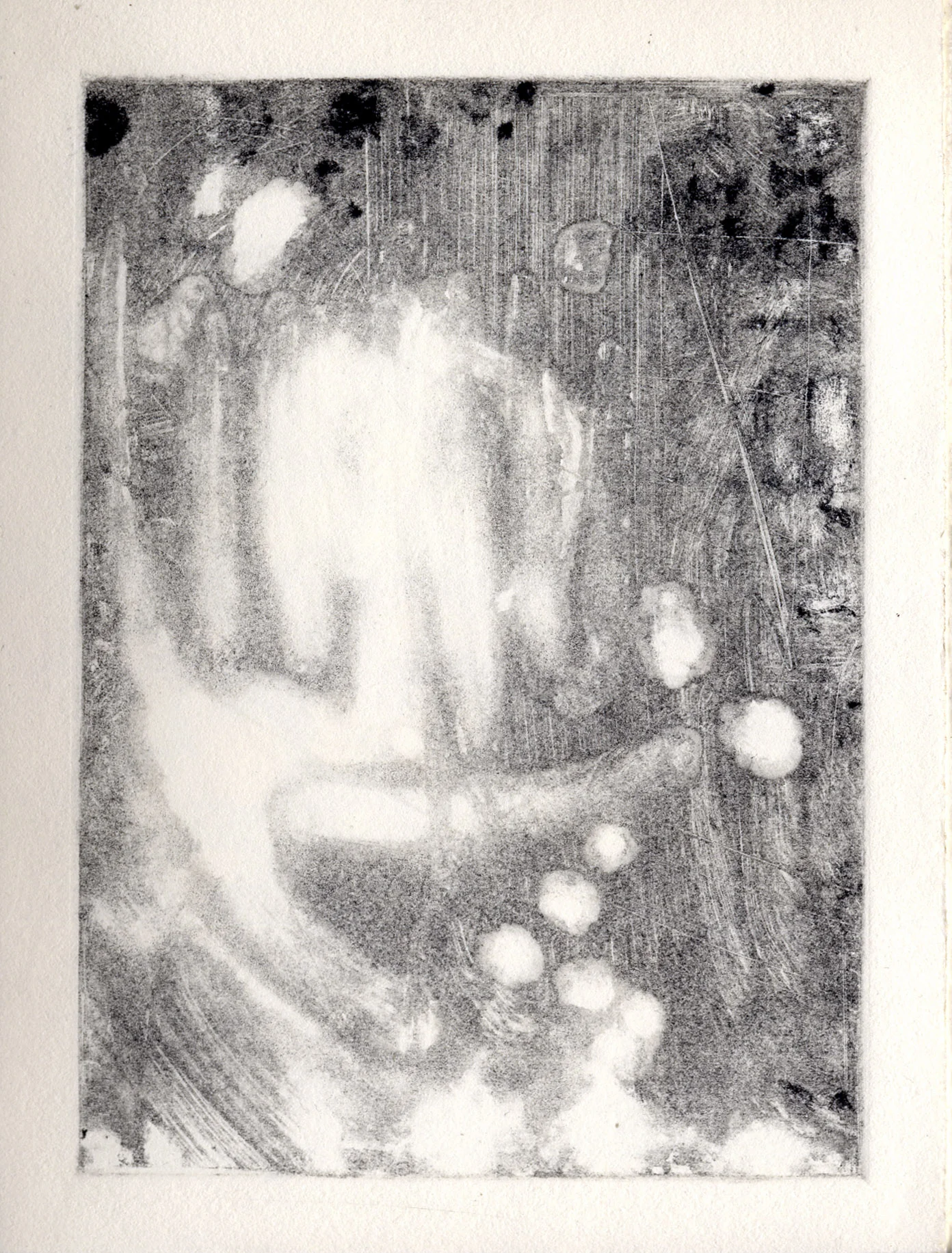 All the Little Live Things , page 9 monotype, etching ink on Rives BFK Lightweight