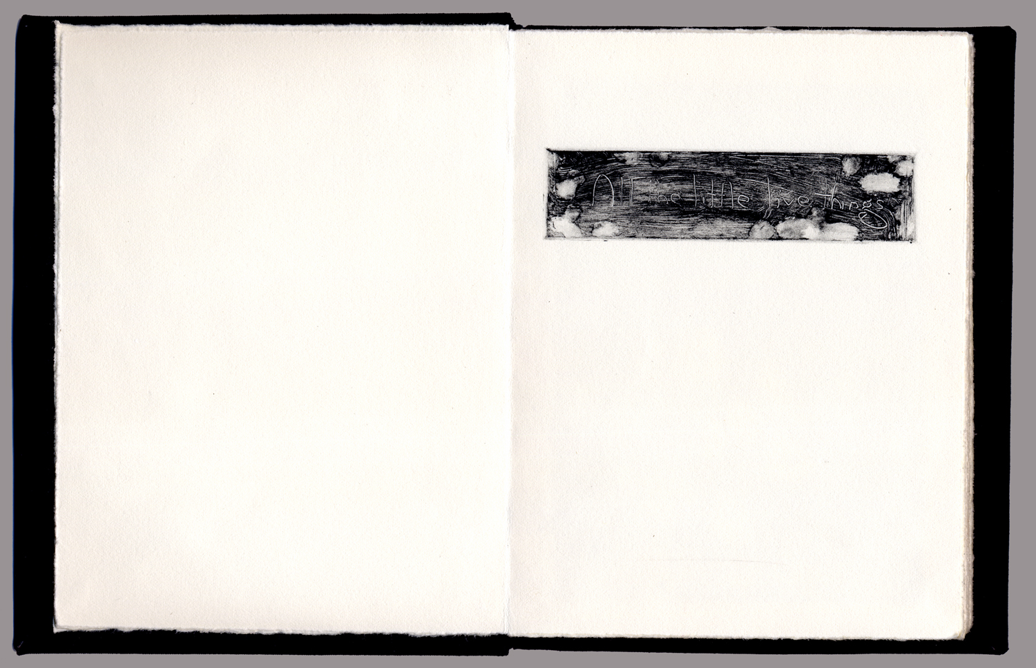 Title page of All the Little Live Things (artist's book) Book info: materials: book board, book cloth, etching ink on Rives BFK Lightweight Off-White paper monotype plates: 9.5x 13.5cm; page size: 16 x 24.5cm hardcover/adhesive binding, 14 pages overall book dimensions when closed: 17 x 13.5 x 1.5 cm