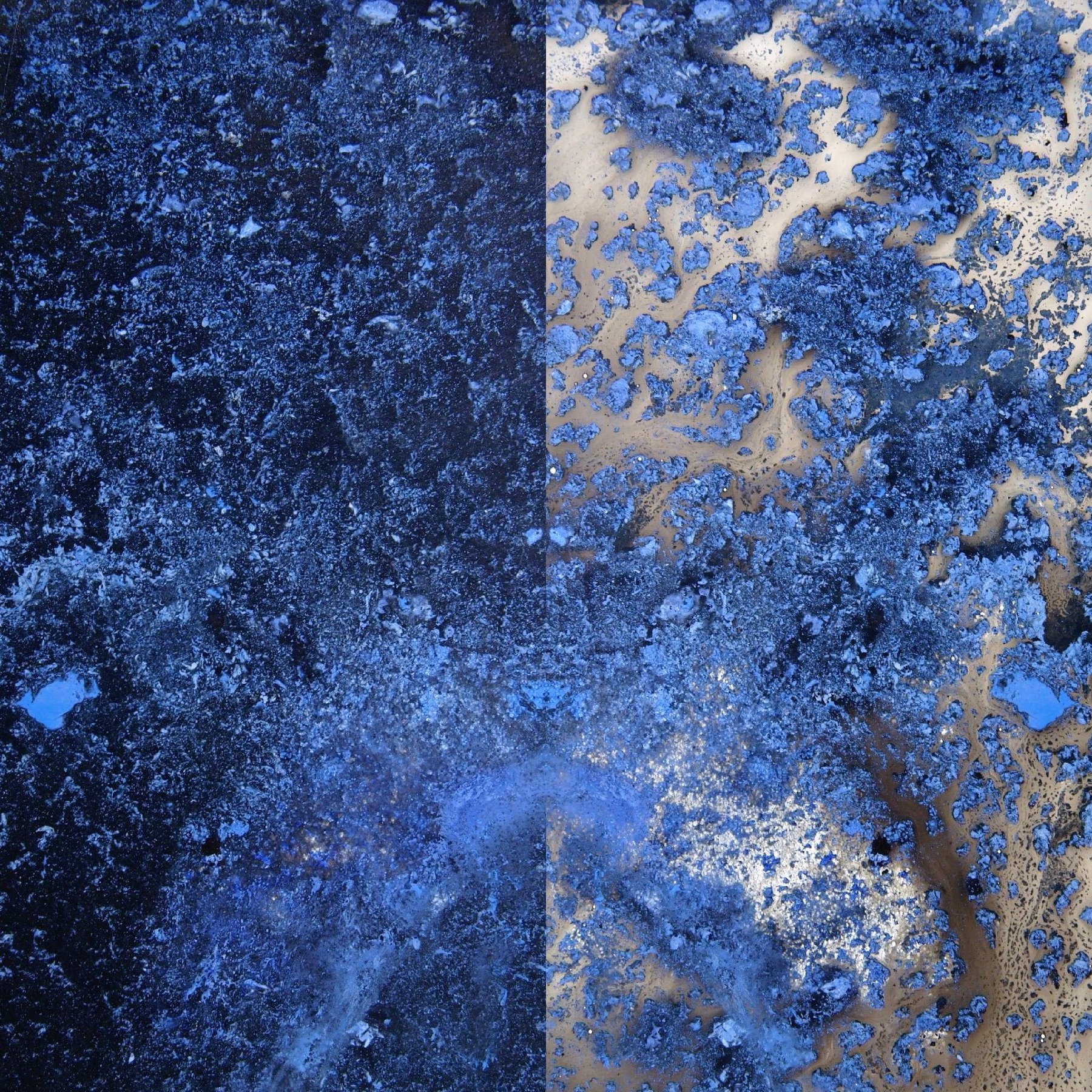 Anthropocene Rorscach