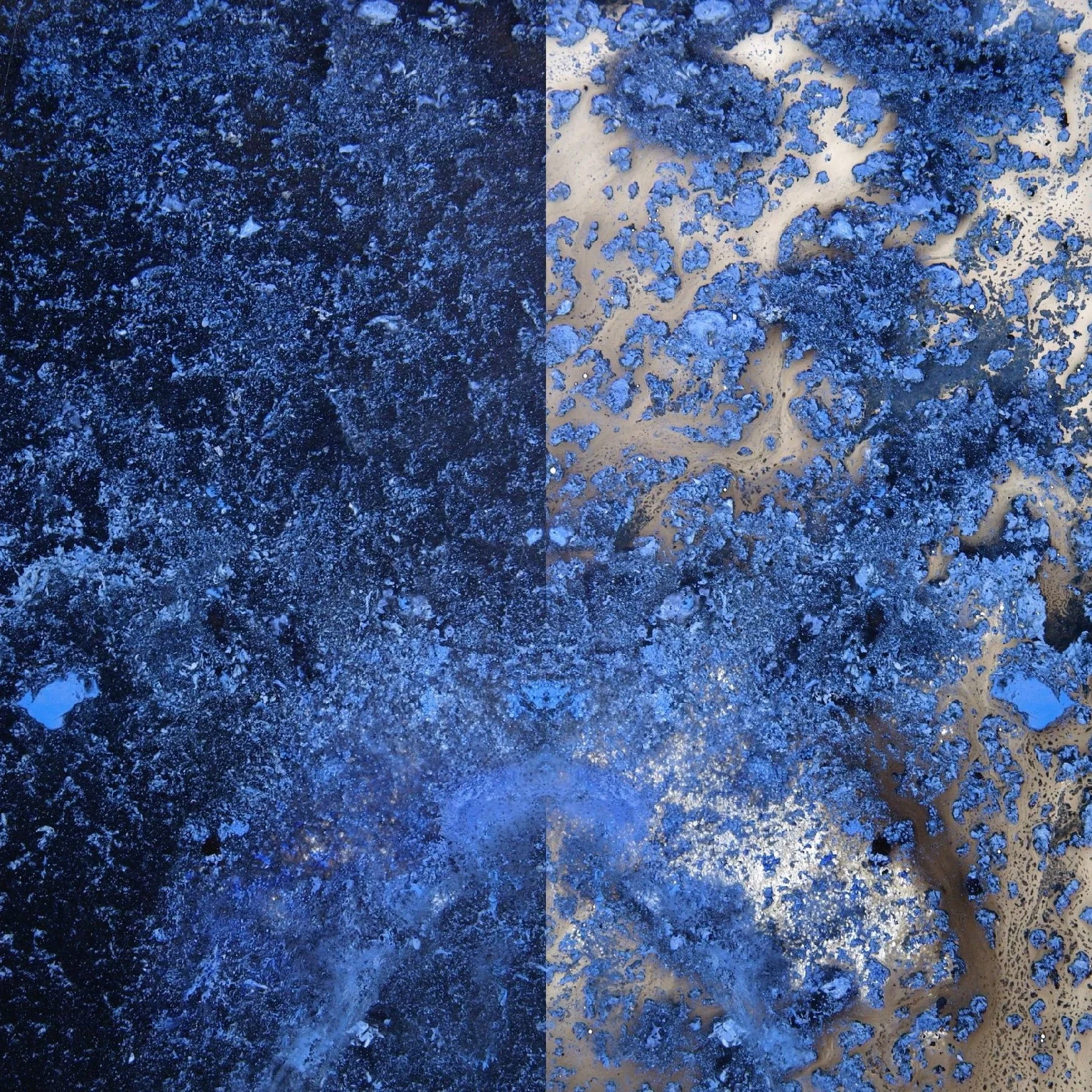 Anthropocene Rorscach