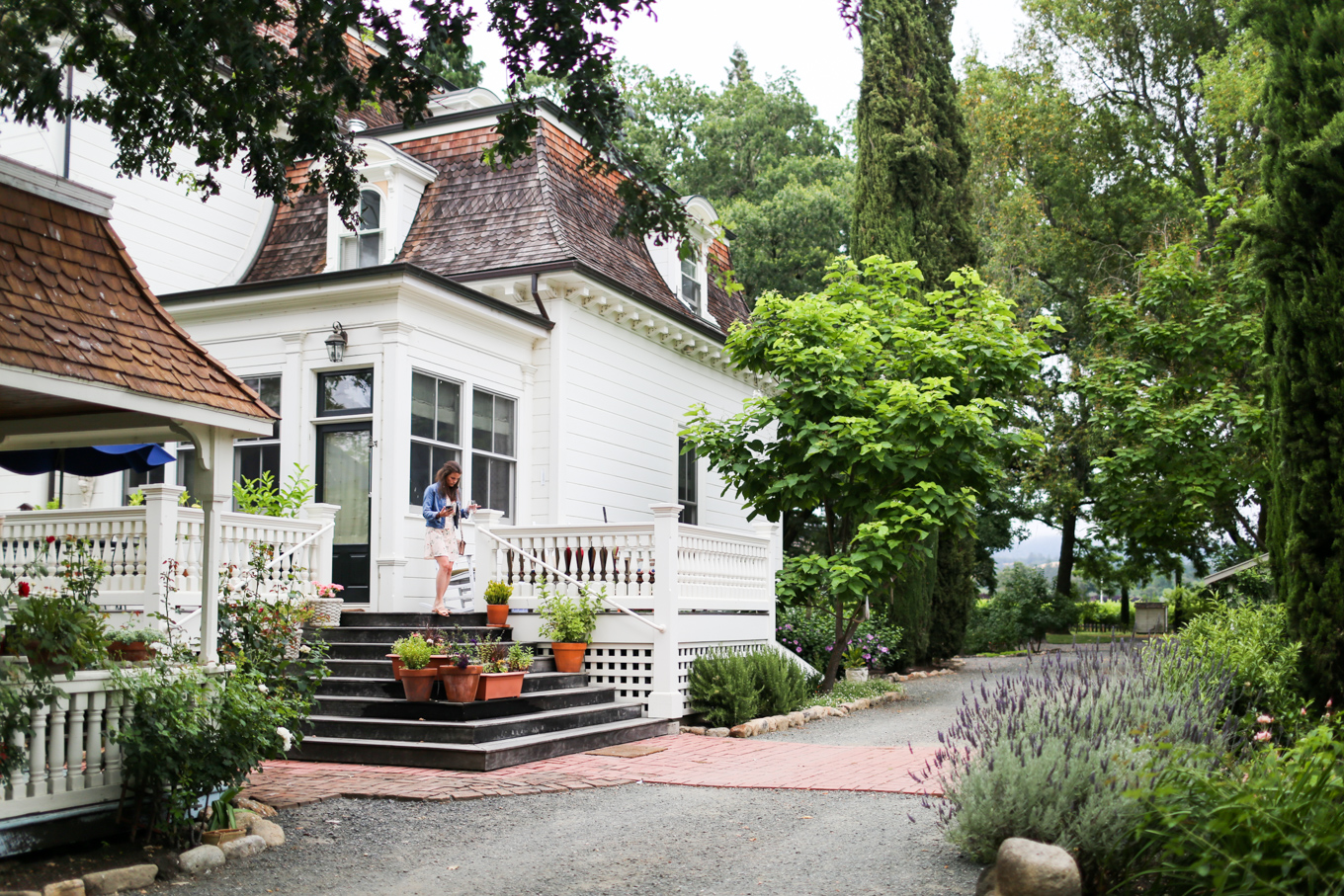 01Napa-19.jpg