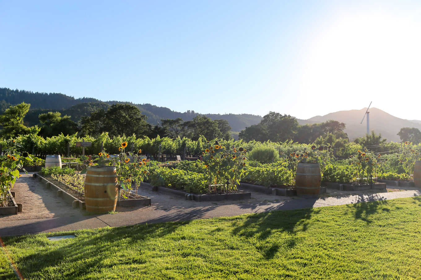 01Napa-44.jpg
