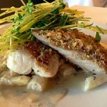 seabass