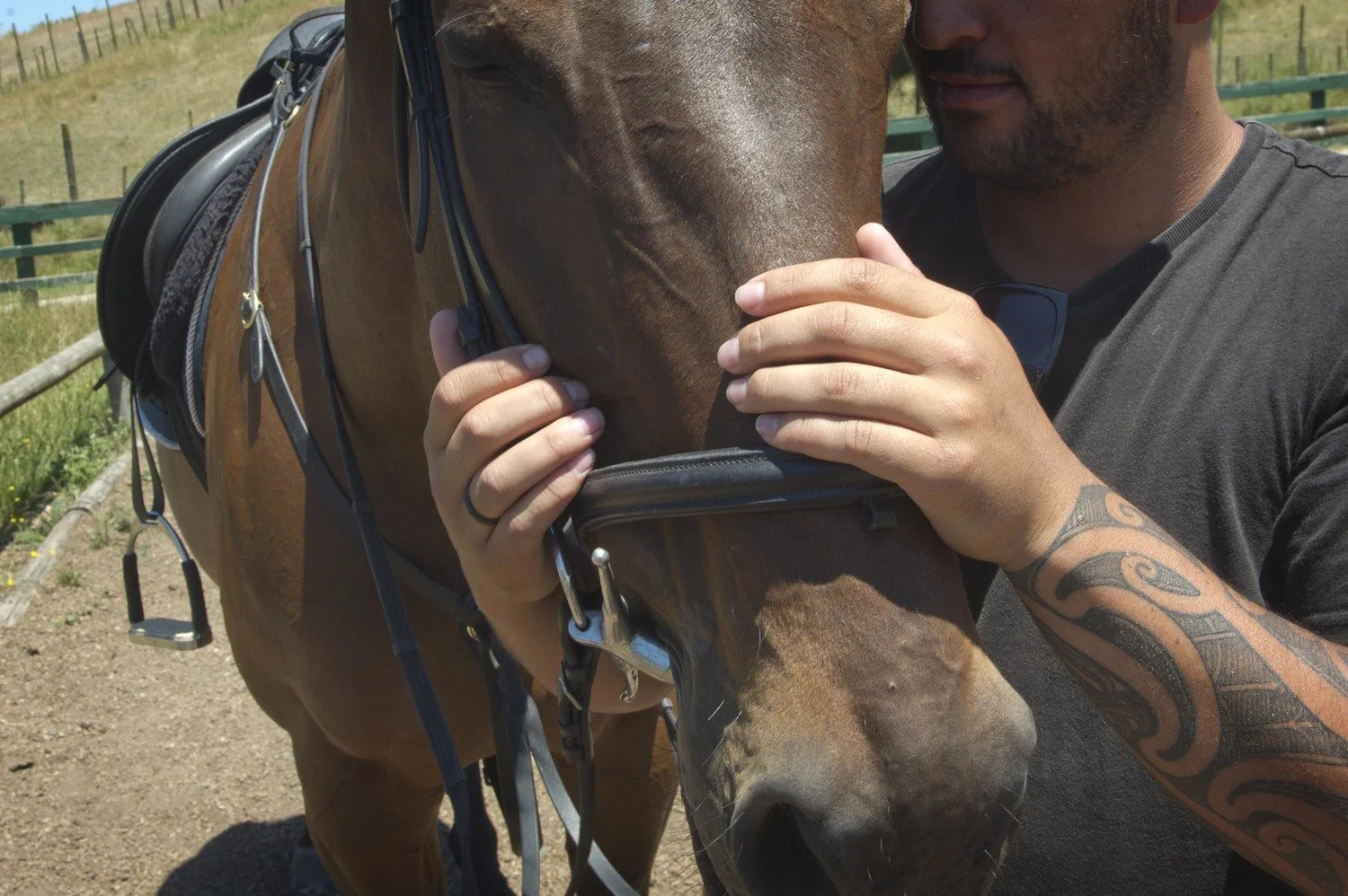 Man connecting with horse — genuine equine therapy