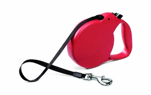 Retractable leash or flexi leash