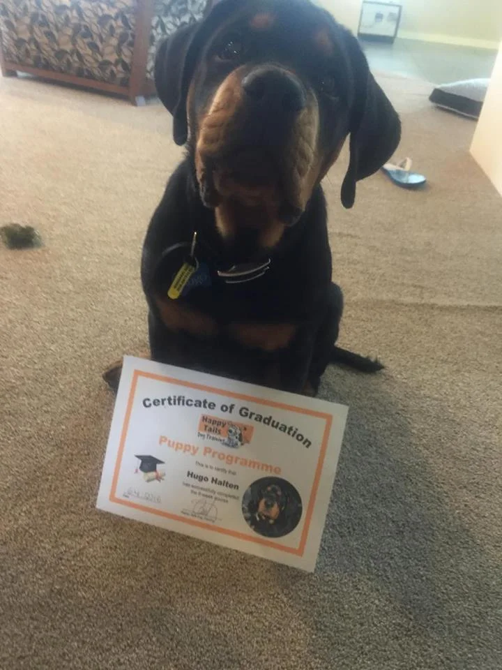 Hugo proudly displaying his graduation certificate