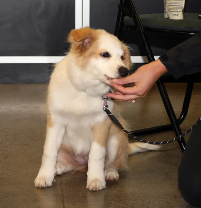 Young Jessie is getting a treat