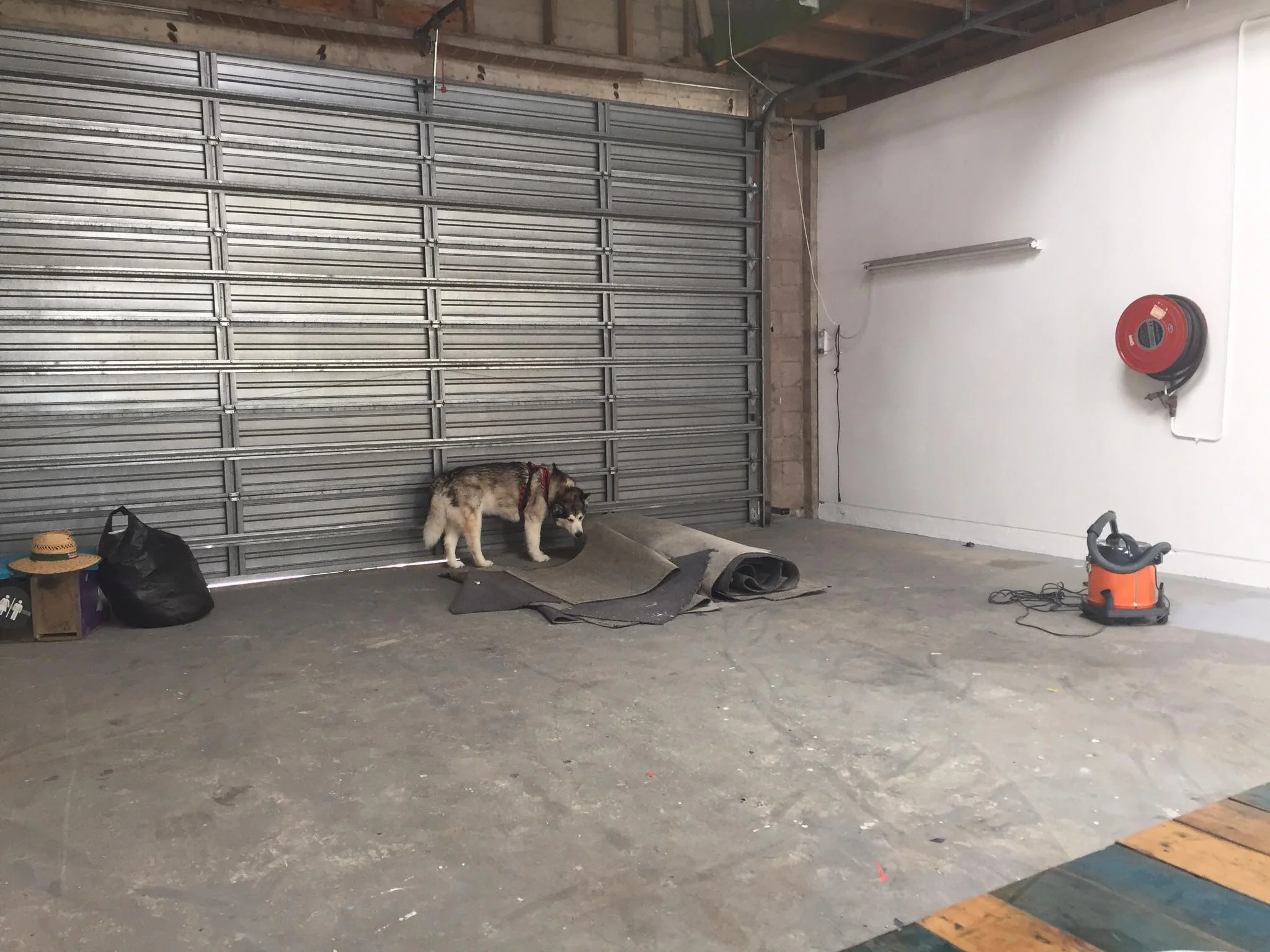 dog-checks-out-new-facility.jpg