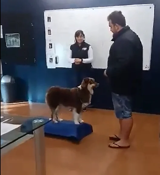 charlie-standing-on-platform.jpg