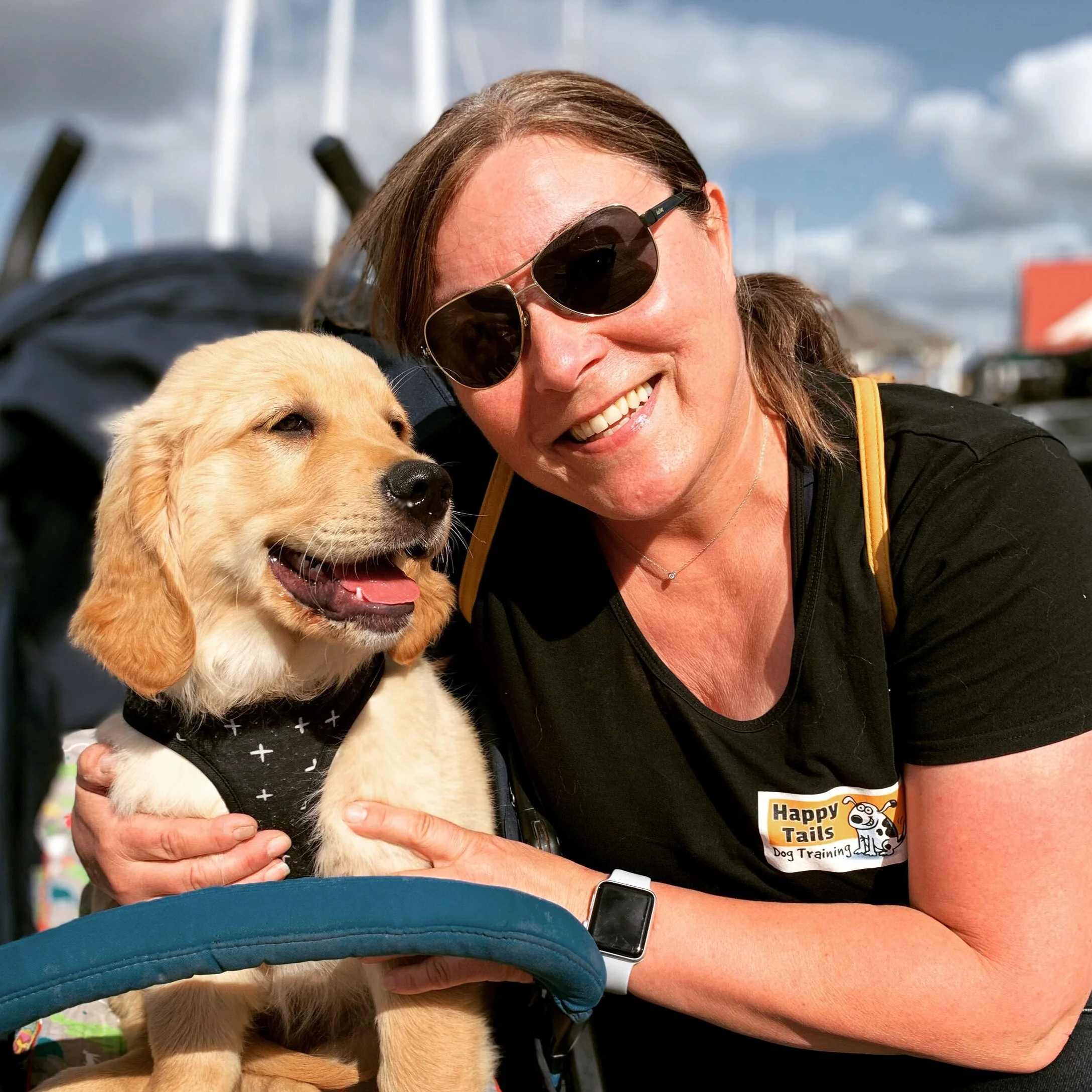 How To A Dog Trainer Nz