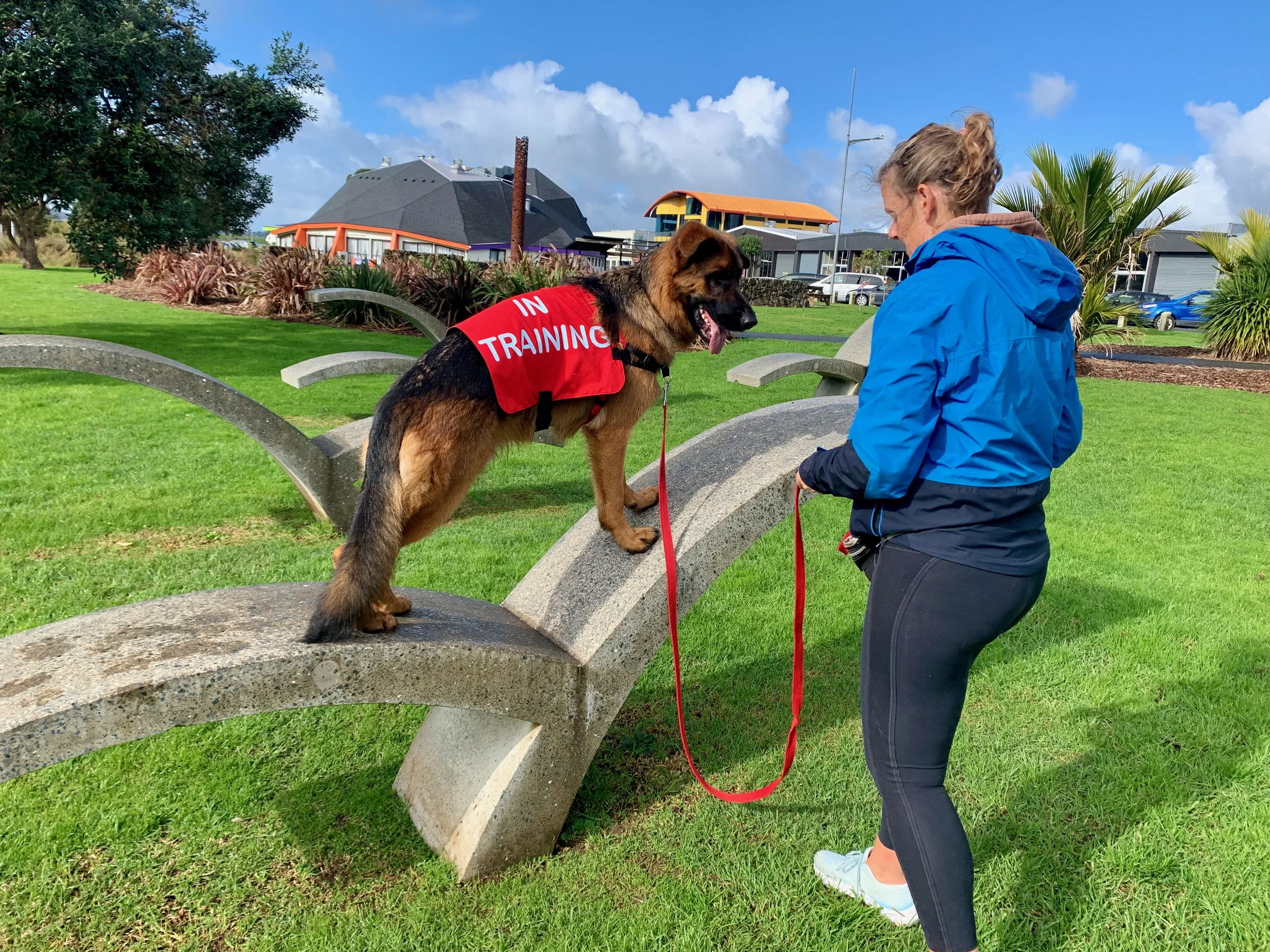 Behaviour and training — Happy Tails Dog Training