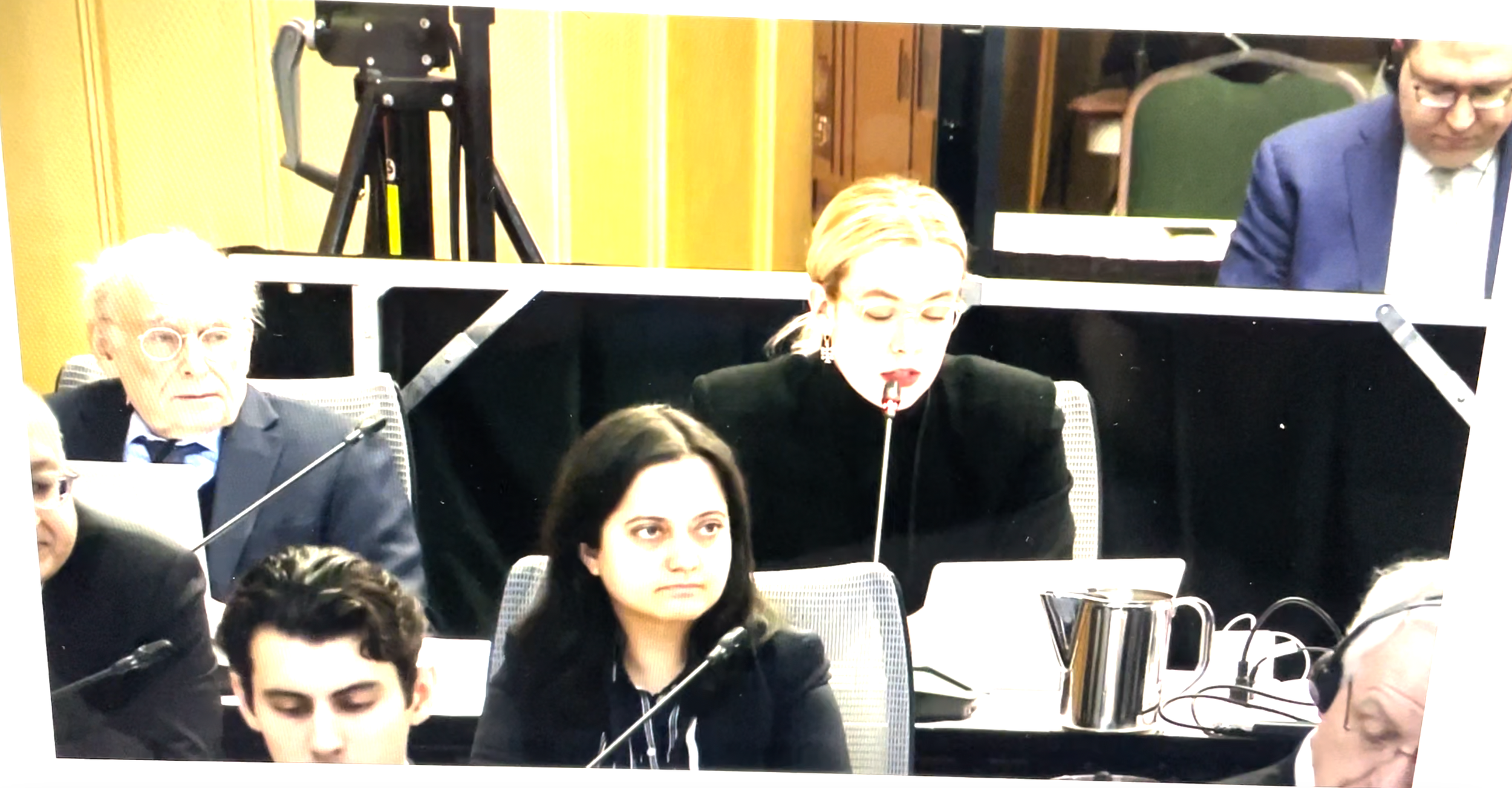 Democratic Spaces in a Human Rights Coalition - Hearings in Ottawa on Foreign Interference and Transnational Repression 
