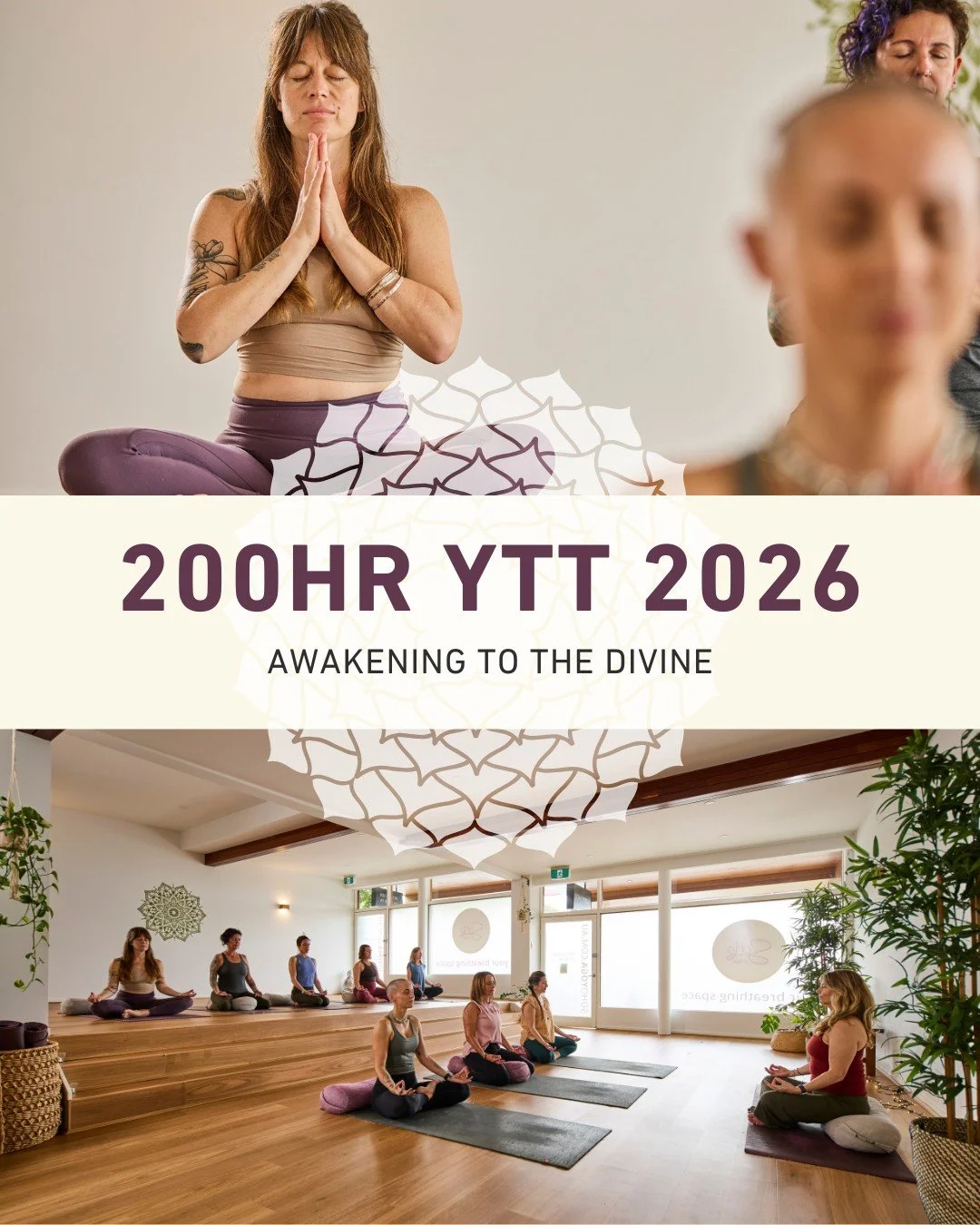 This training . . . It's so much more than learning how to teach yoga asana. It's about learning how to live in the world we find ourselves in. 

It's about raising our CONSCIOUSNESS. And when we raise our consciousness we awaken to the realisation t