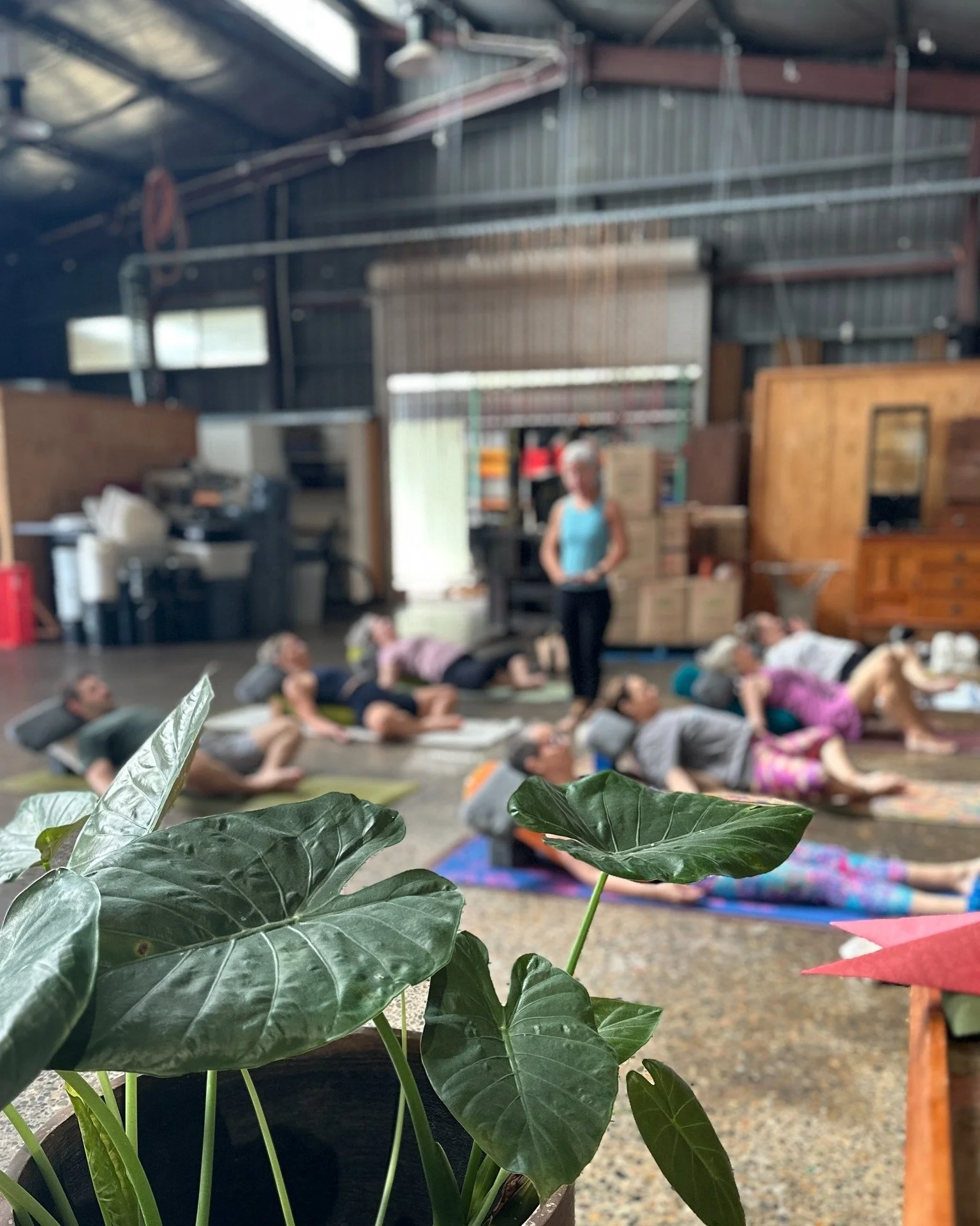 ✨ Community Yoga | QRoasters Stafford | Starts Sat 31 Jan! ✨

We are delighted to announce that community yoga classes are brewing again at @q_roasters_coffee Stafford.

Our community yoga classes with Tes are designed as a gentle introduction to yog