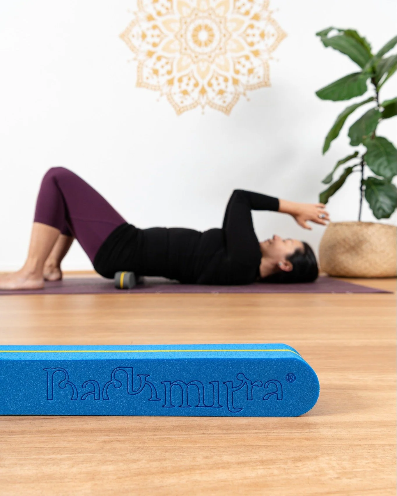 NEW on SoHo@Home! 'The Unwinding' with Alexandra.

A 60min Self-Myofascial Release and BackMitra practice to unlock bodily restrictions and spinal misalignments. Perfect for unwinding desk-life strain and improving overall mobility and inviting a pro