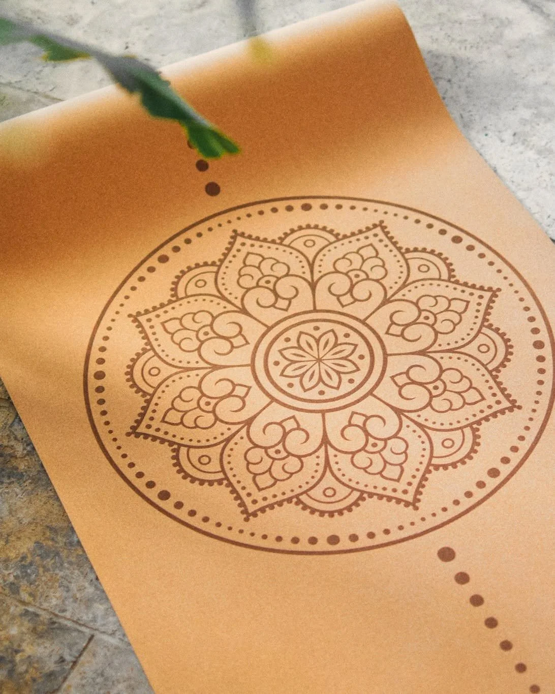 🍂 Autumn Reset &amp; Win! 🍂 

The Easter holidays are over and new year's intentions have been long forgotten, so it's time to step back onto the mat and reset your routine before winter.

Need an added incentive to reignite your yoga practice? Att