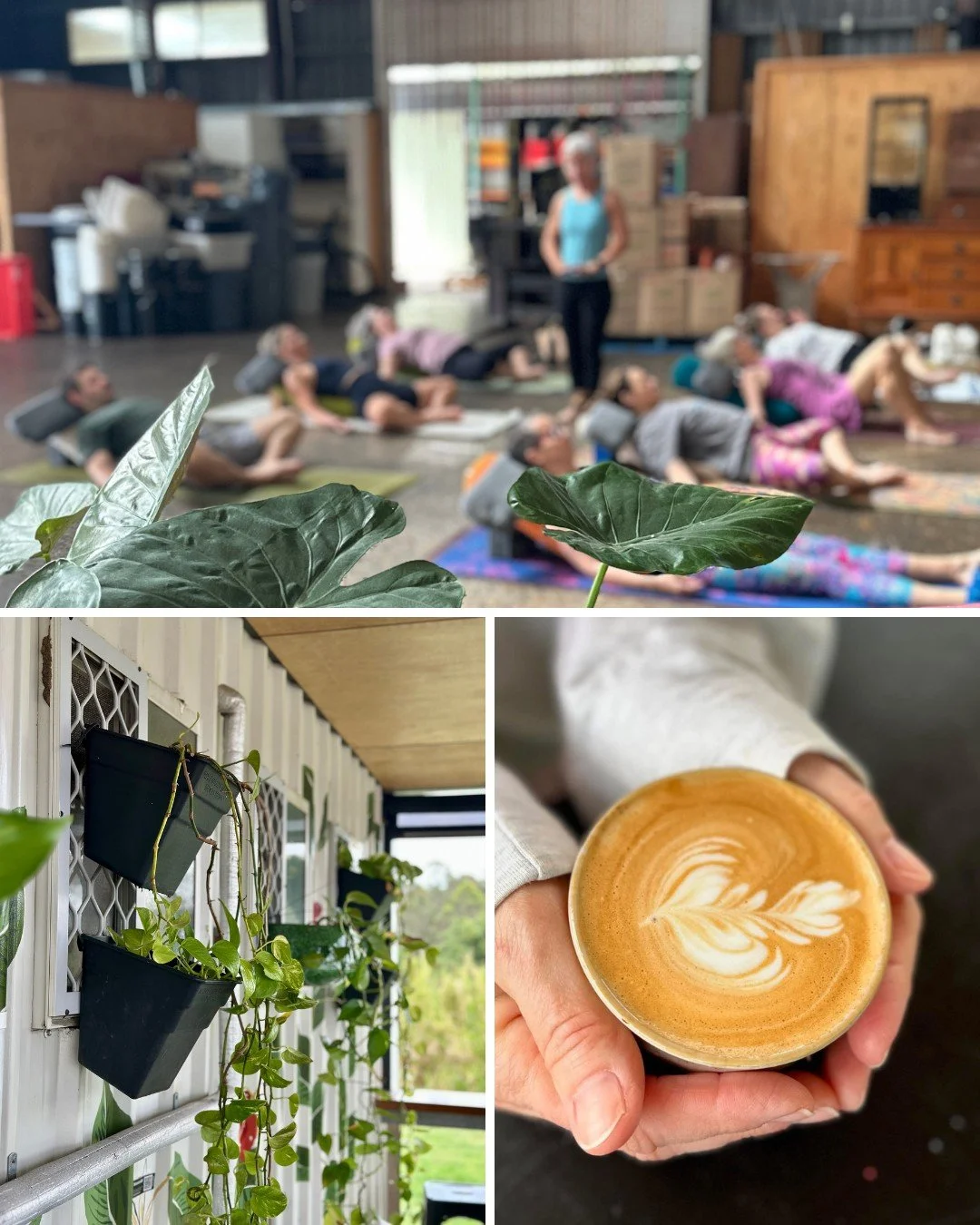 ✨ Community Yoga Classes at QRoasters Stafford ✨ Saturdays 8am - 9am join Tes for a Gentle Yoga Flow hosted by our friends at @q_roasters_coffee from as little as $10/class.

Come for the yoga and stay for the best coffee in town and community spirit