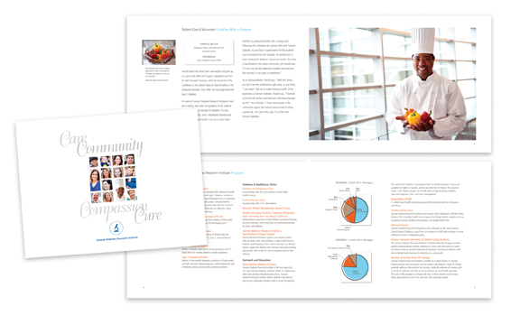 Non-profit annual report