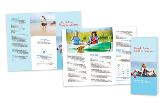 Fundraising brochure